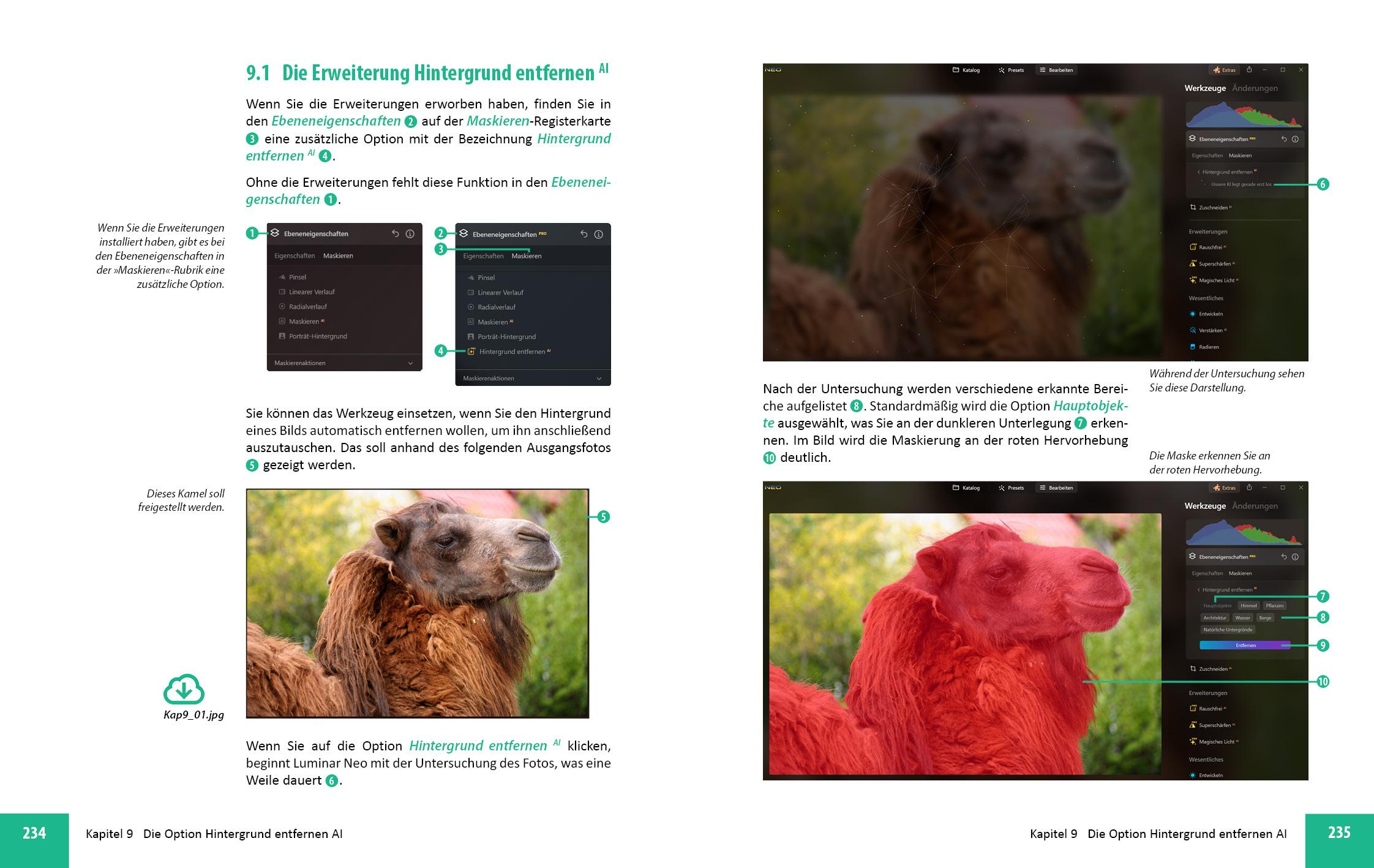 Beispielinhalt (Bild) Luminar Neo Erweiterungen - Das umfassende Praxisbuch!