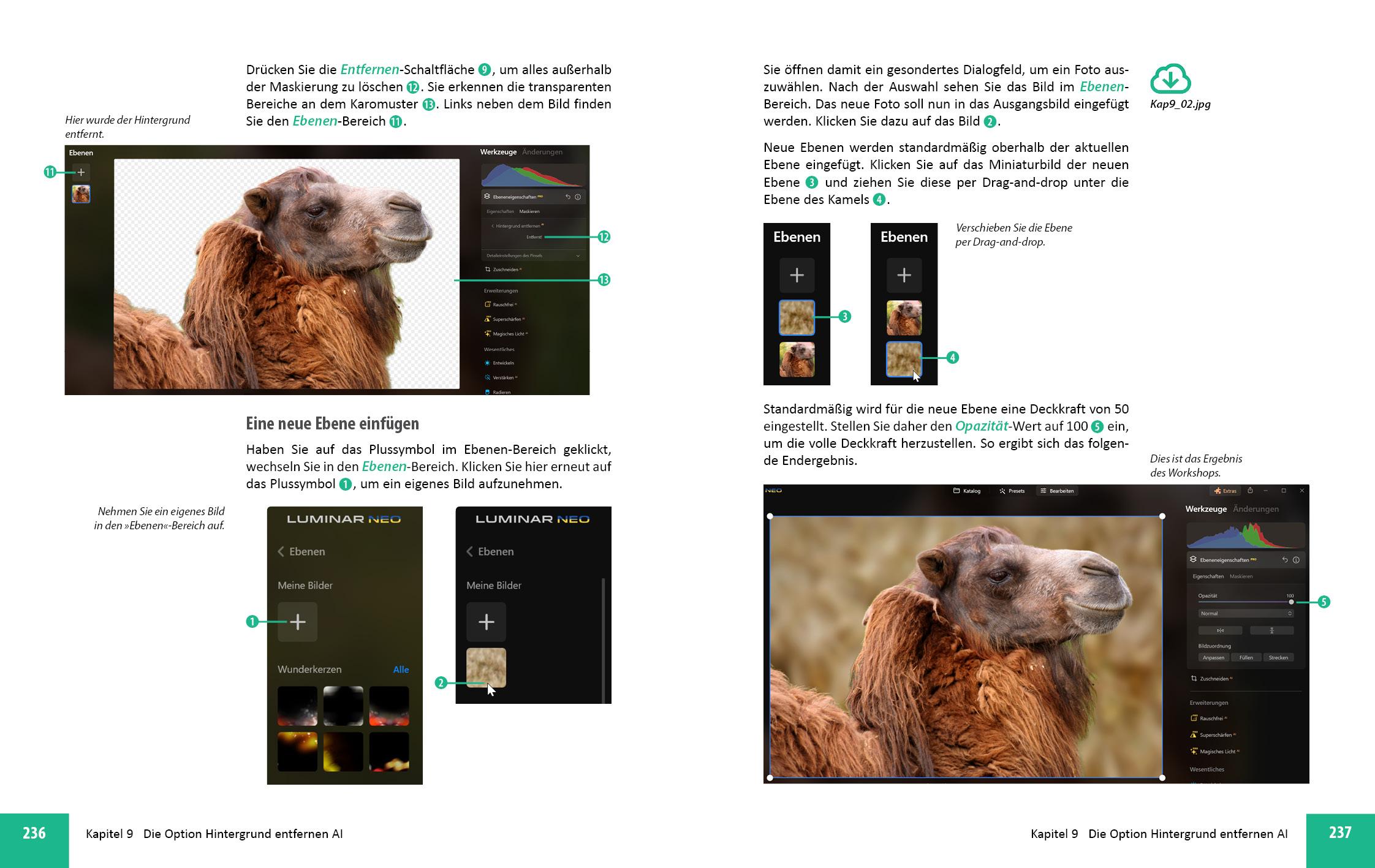 Beispielinhalt (Bild) Luminar Neo Erweiterungen - Das umfassende Praxisbuch!
