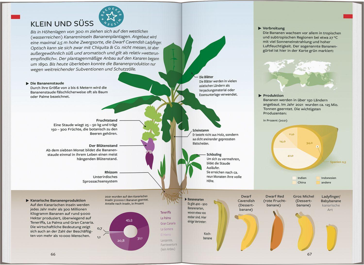 Beispielinhalt (Bild) Baedeker Reiseführer Gran Canaria