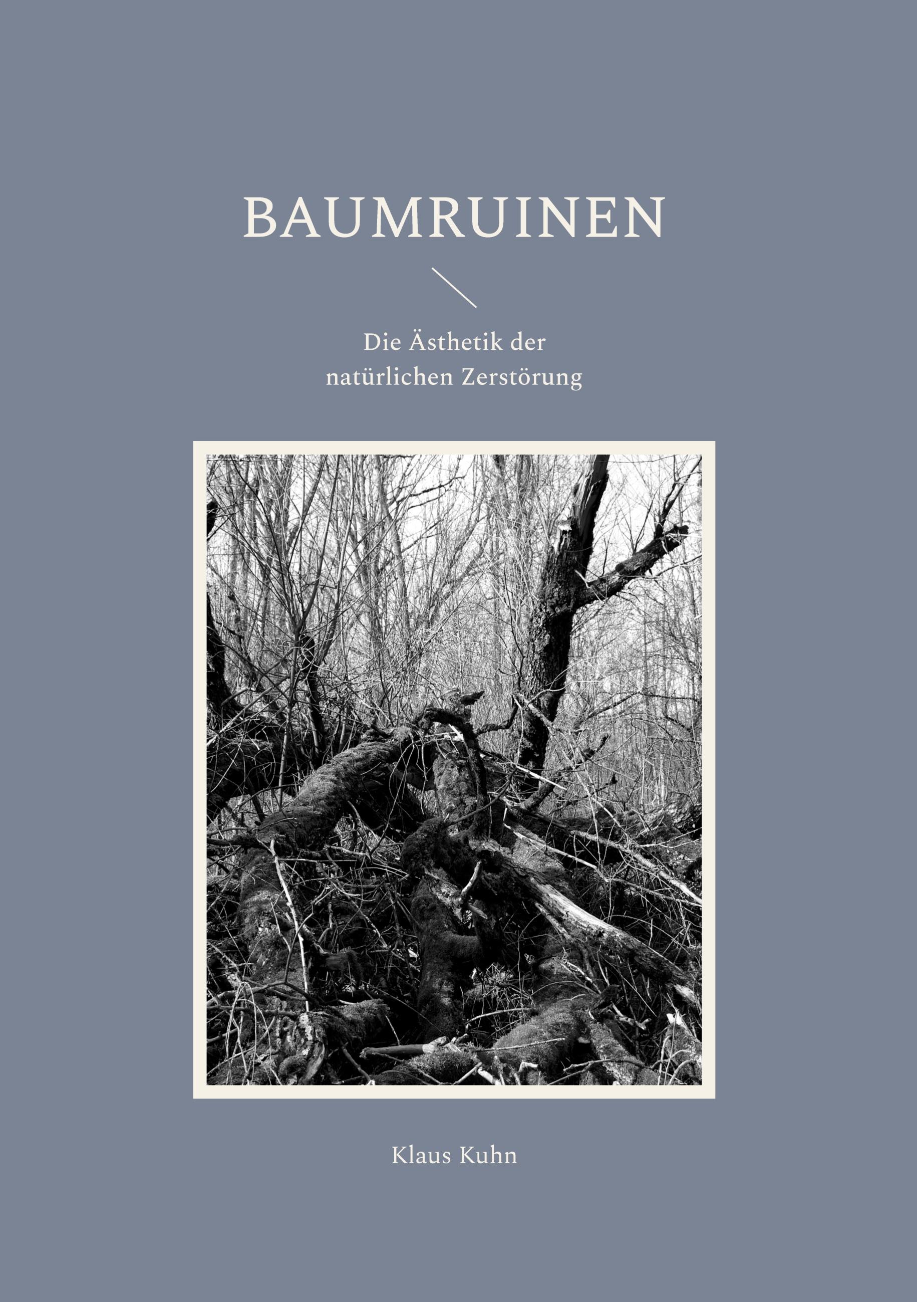 Vorderes Coverbild Baumruinen