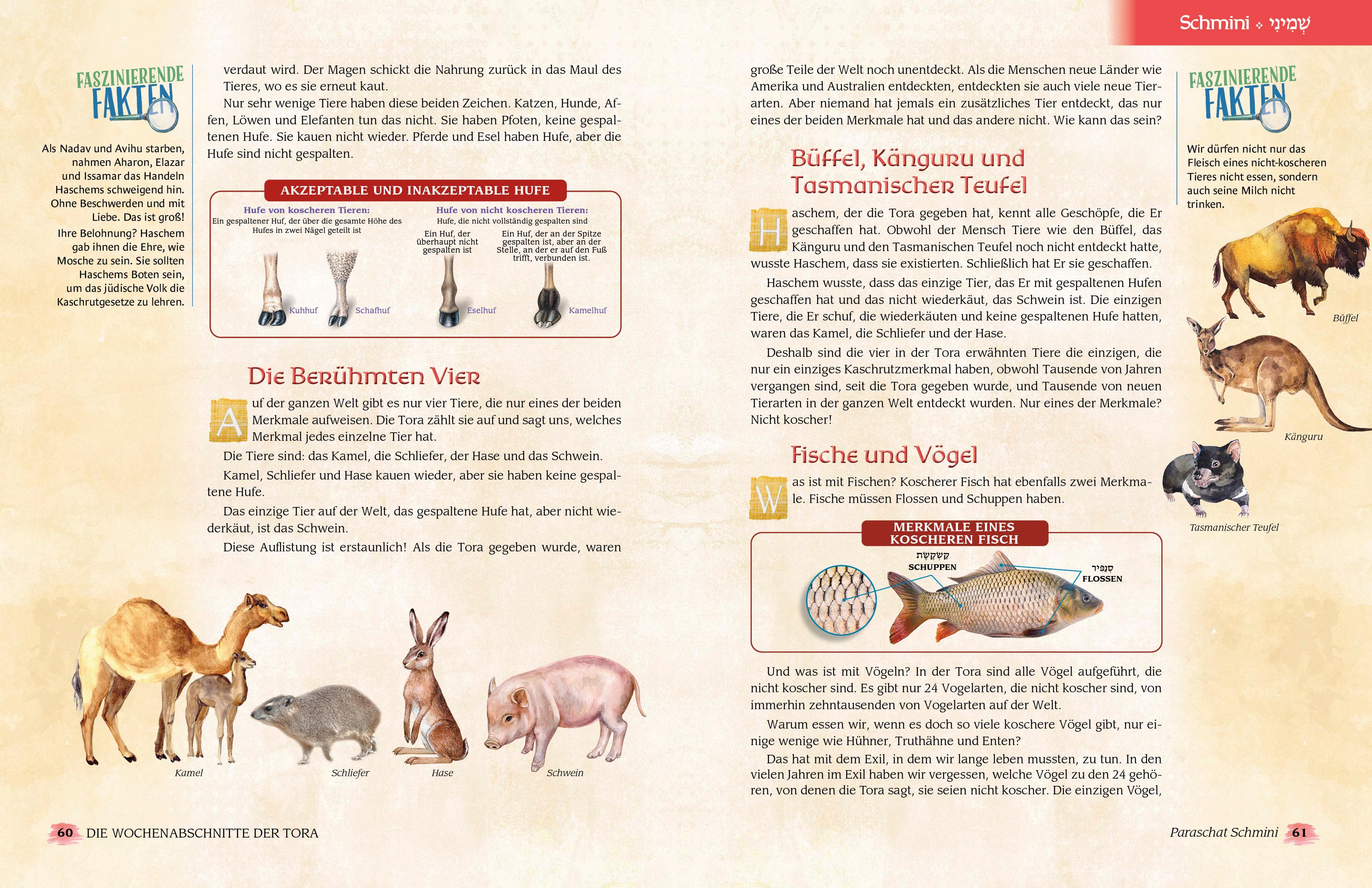 Beispielinhalt (Bild) Die Wochenabschnitte der Tora. Band 3. Buch Wajikra.
