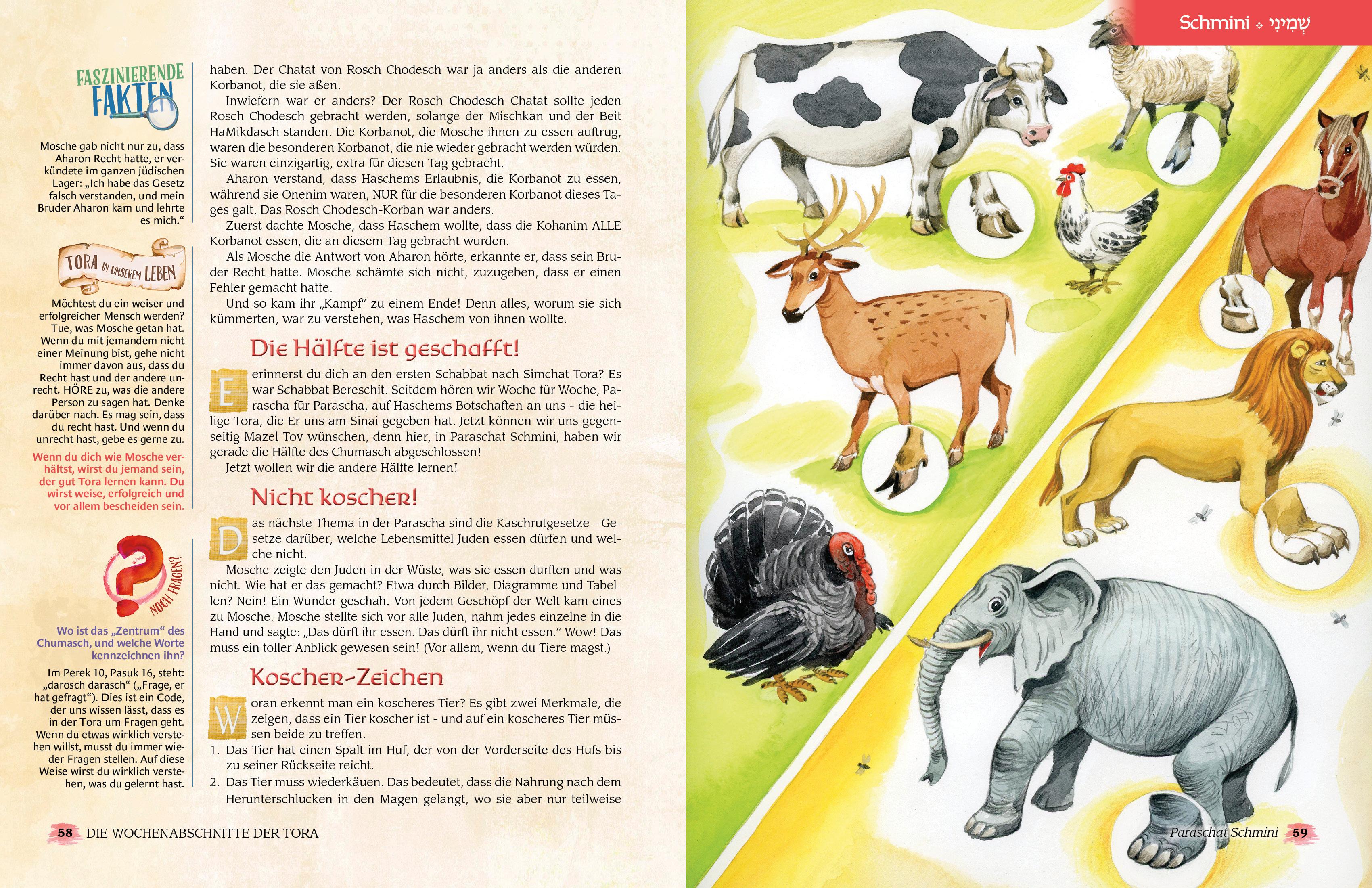 Beispielinhalt (Bild) Die Wochenabschnitte der Tora. Band 3. Buch Wajikra.