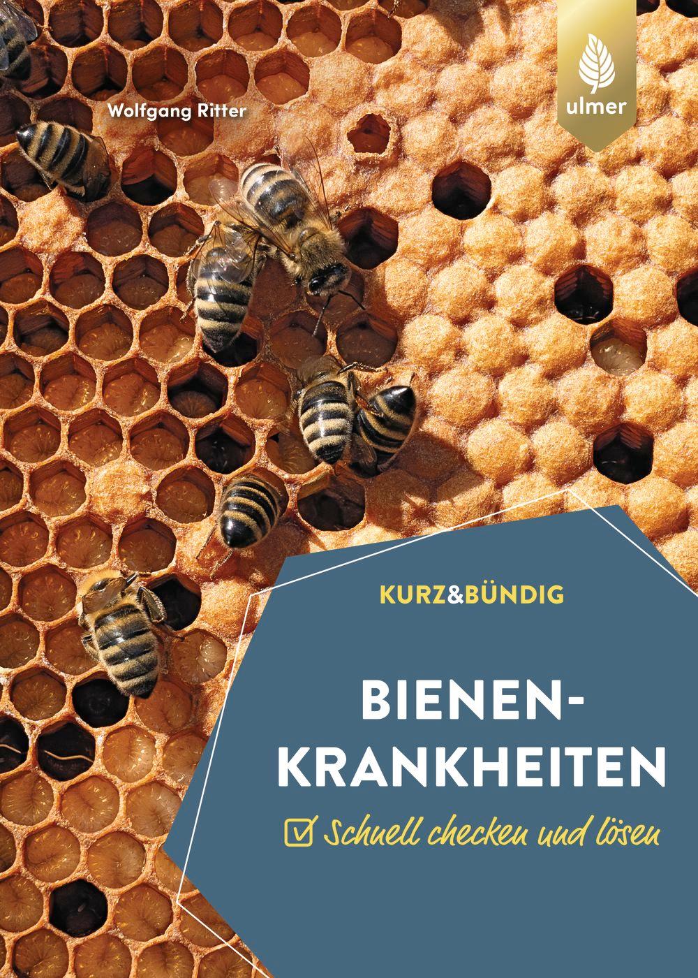 Vorderes Coverbild Bienenkrankheiten