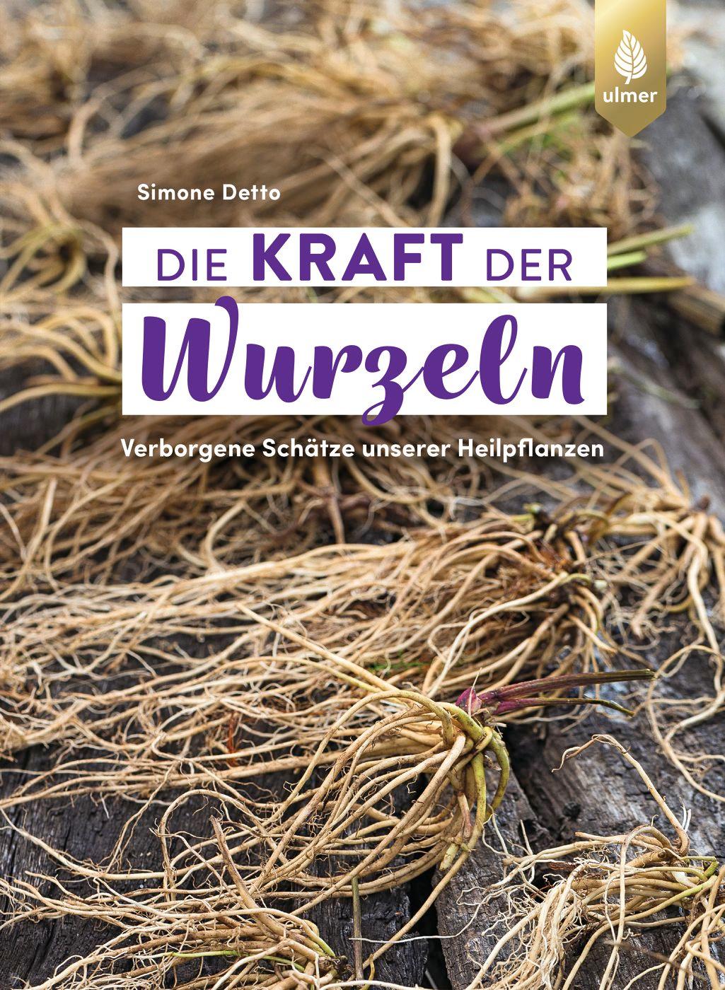 Vorderes Coverbild Die Kraft der Wurzeln