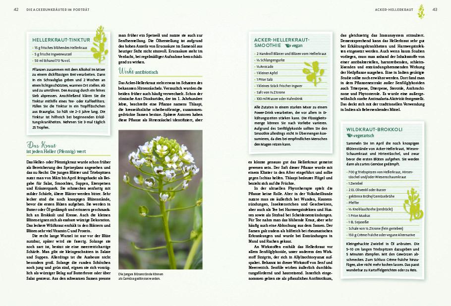 Beispielinhalt (Bild) Geheimnisse der Unkräuter