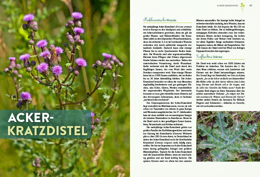 Beispielinhalt (Bild) Geheimnisse der Unkräuter