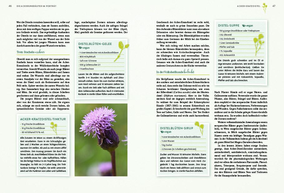 Beispielinhalt (Bild) Geheimnisse der Unkräuter