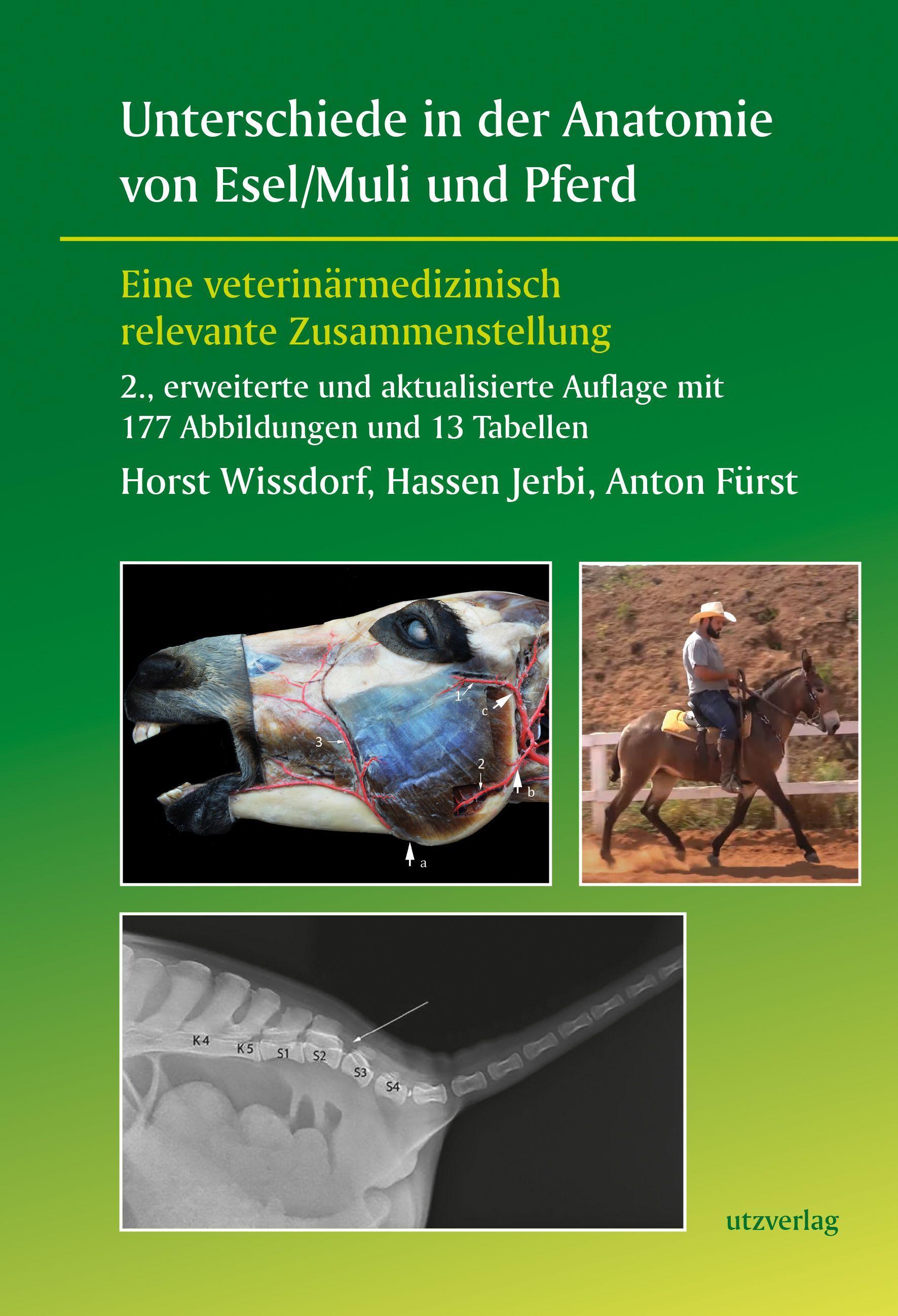 Vorderes Coverbild Unterschiede in der Anatomie von Esel/Muli und Pferd