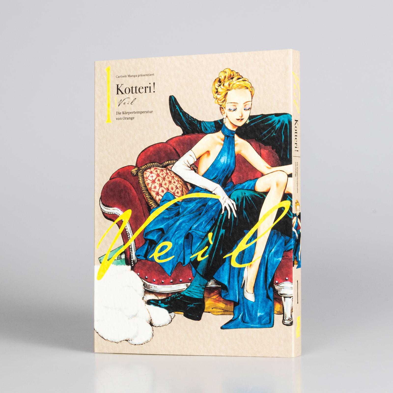 Beispielinhalt (Bild) VEIL 1