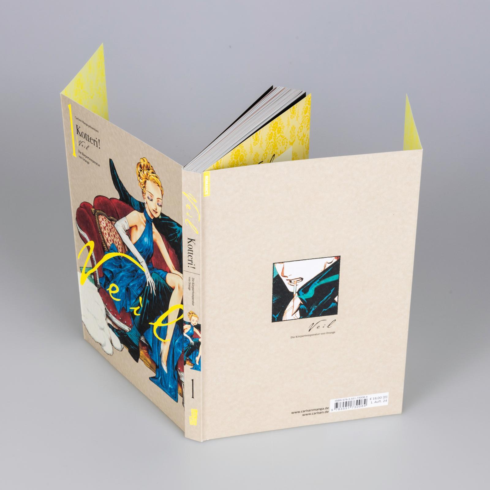 Beispielinhalt (Bild) VEIL 1