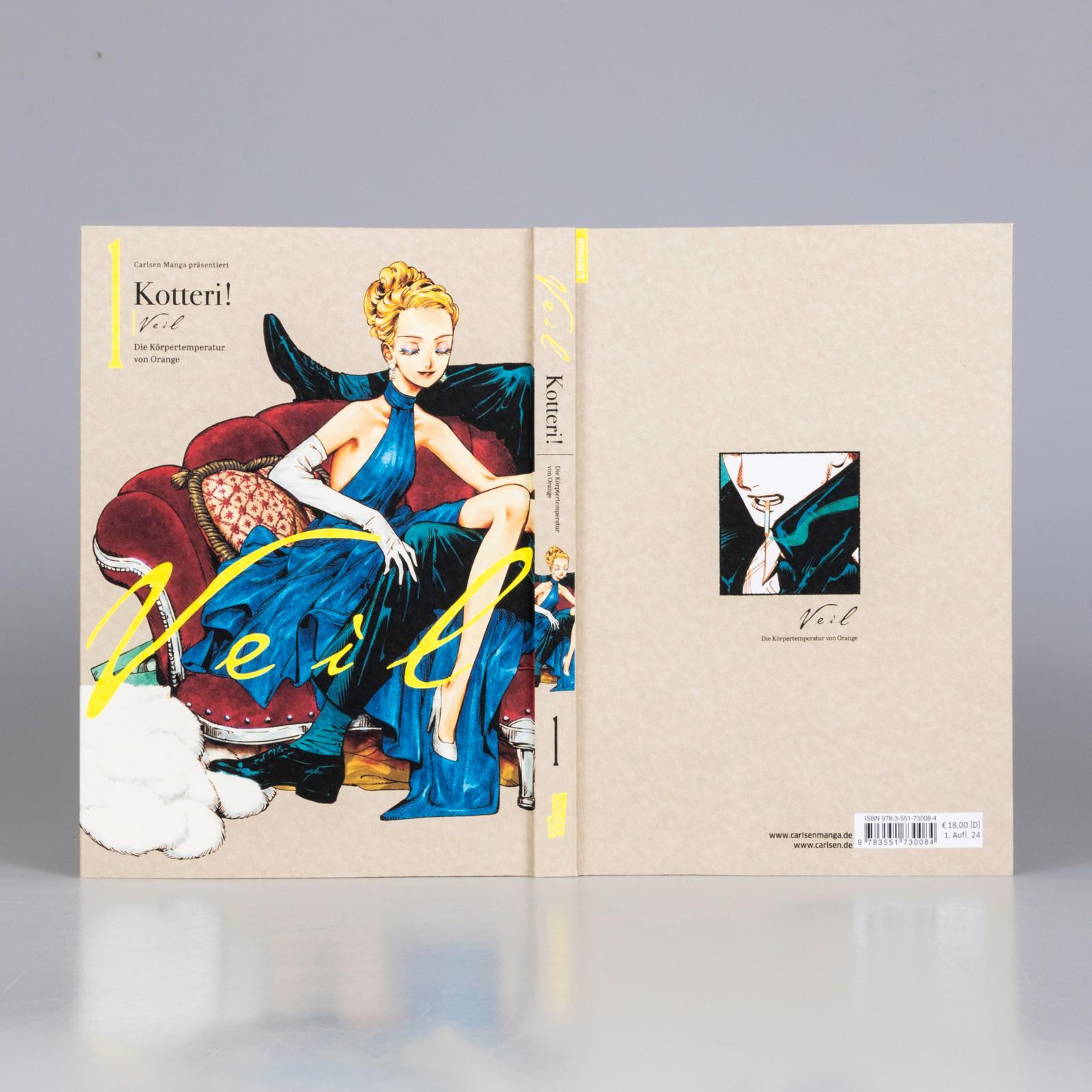 Beispielinhalt (Bild) VEIL 1