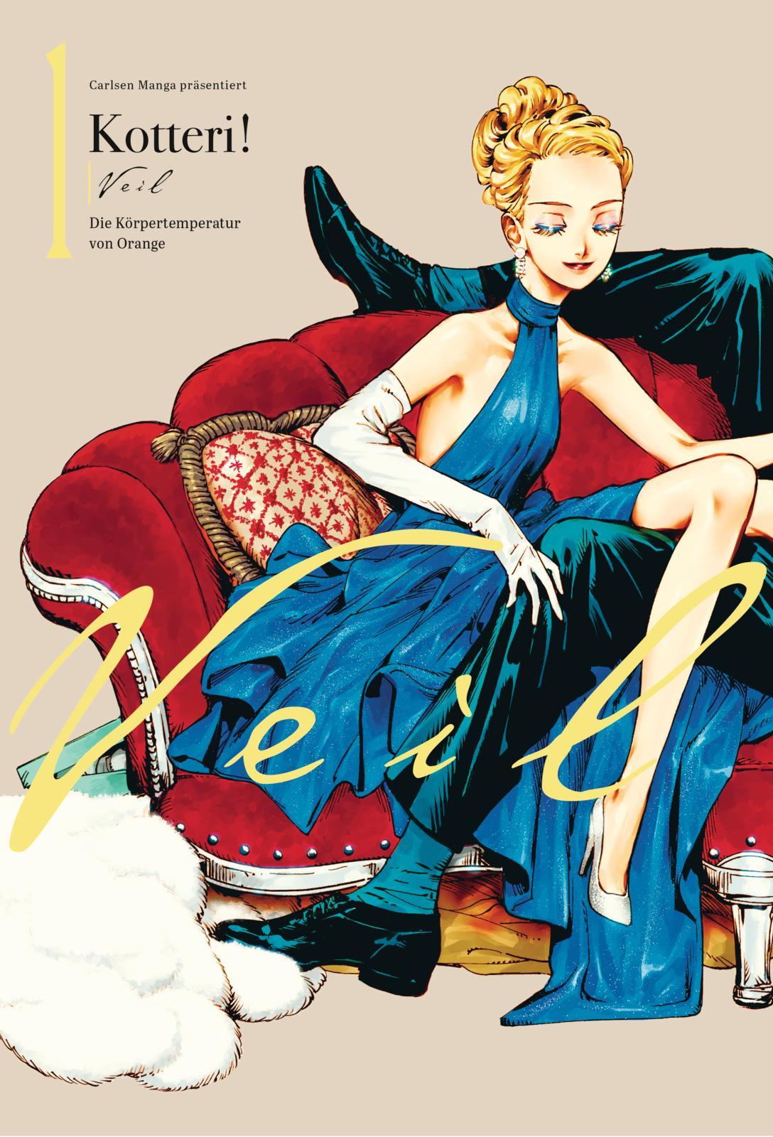 Vorderes Coverbild VEIL 1