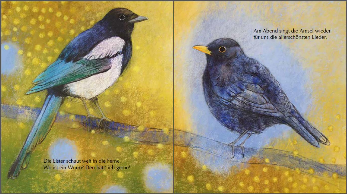 Beispielinhalt (Bild) Mein kleines Buch der Vögel