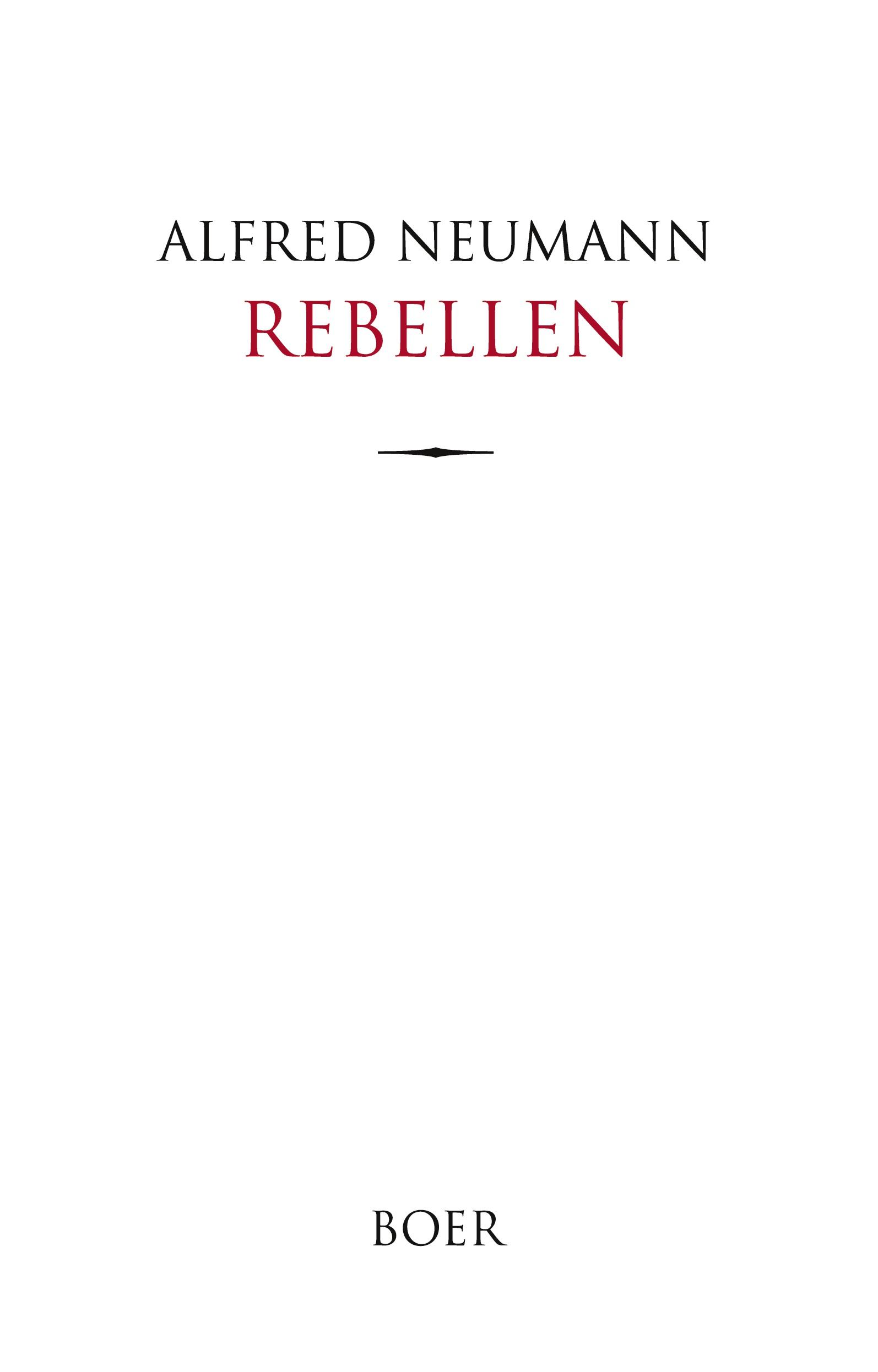 Vorderes Coverbild Rebellen