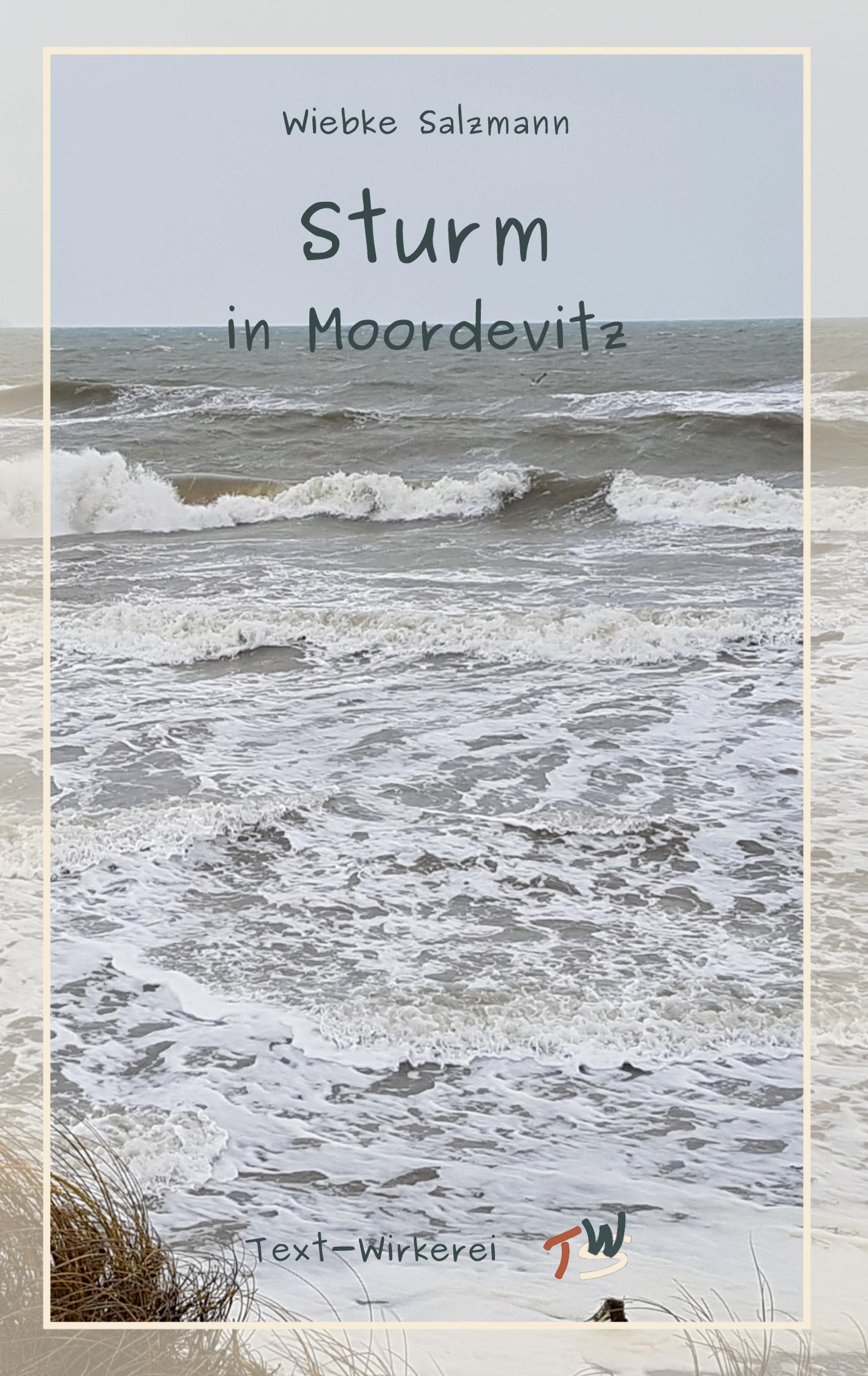 Vorderes Coverbild Sturm in Moordevitz