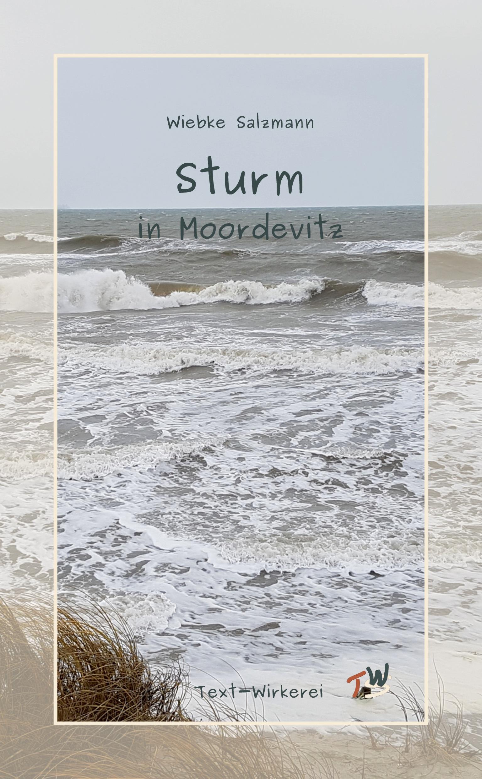 Vorderes Coverbild Sturm in Moordevitz