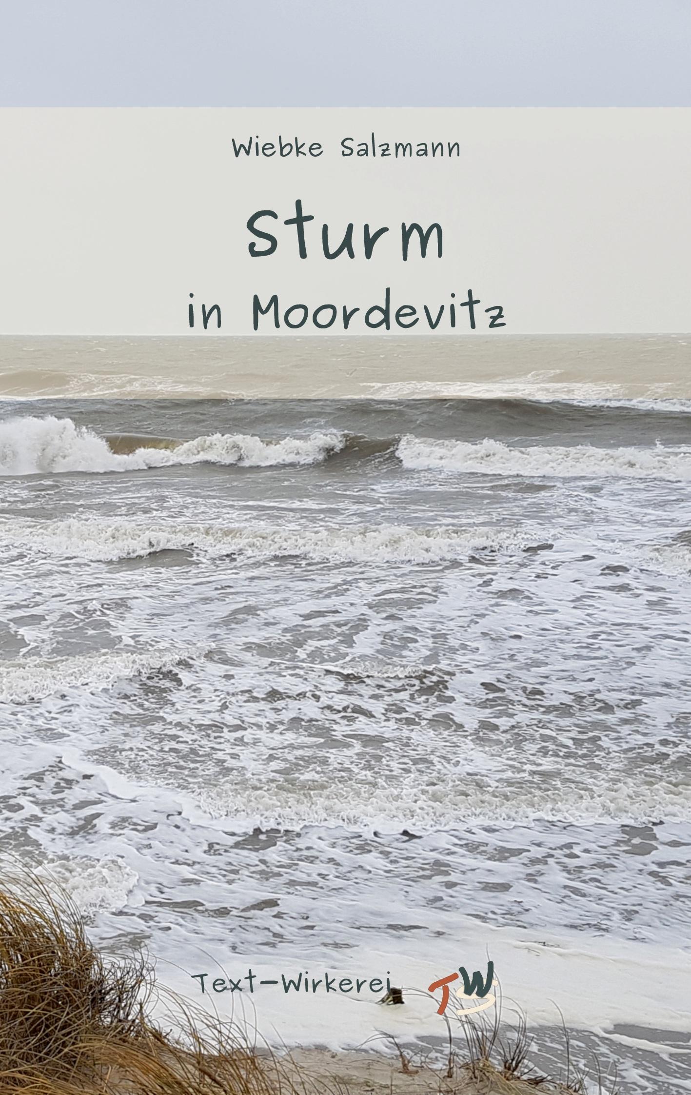 Vorderes Coverbild Sturm in Moordevitz
