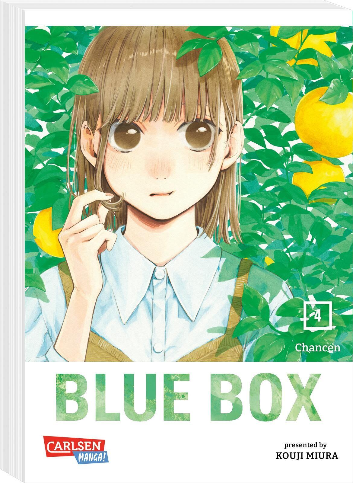 Vorderes Coverbild Blue Box 4