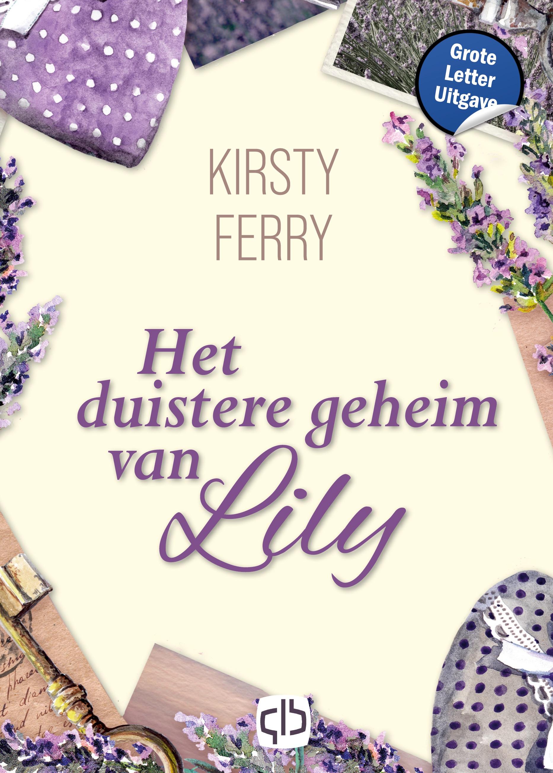 Vorderes Coverbild Het duistere geheim van Lily