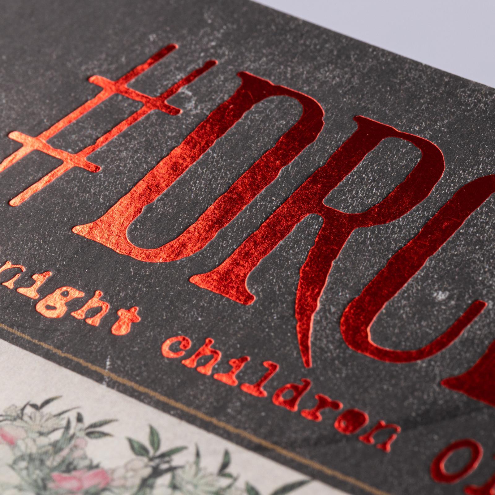 Beispielinhalt (Bild) #DRCL - Midnight Children 1