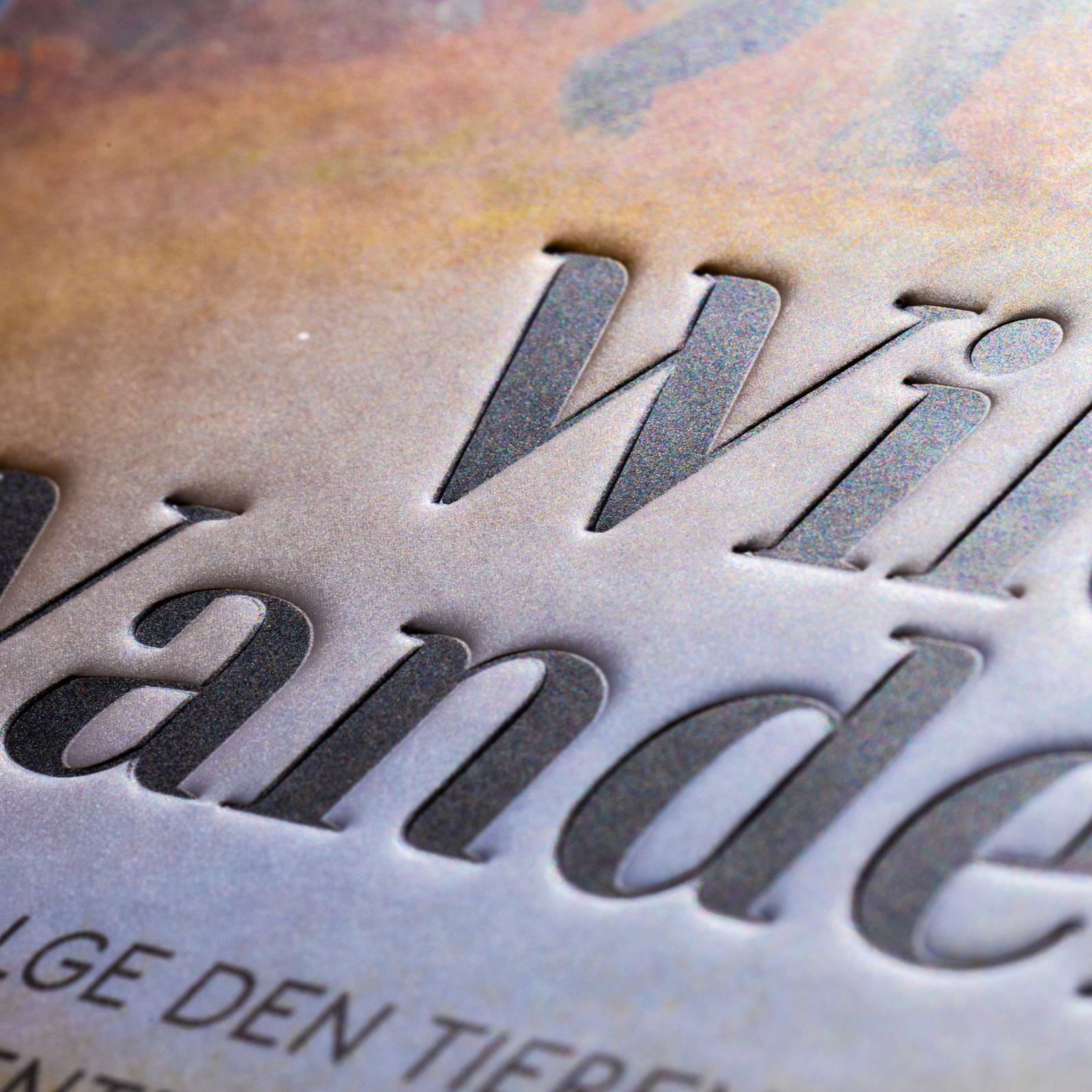 Beispielinhalt (Bild) Wilde Wanderer