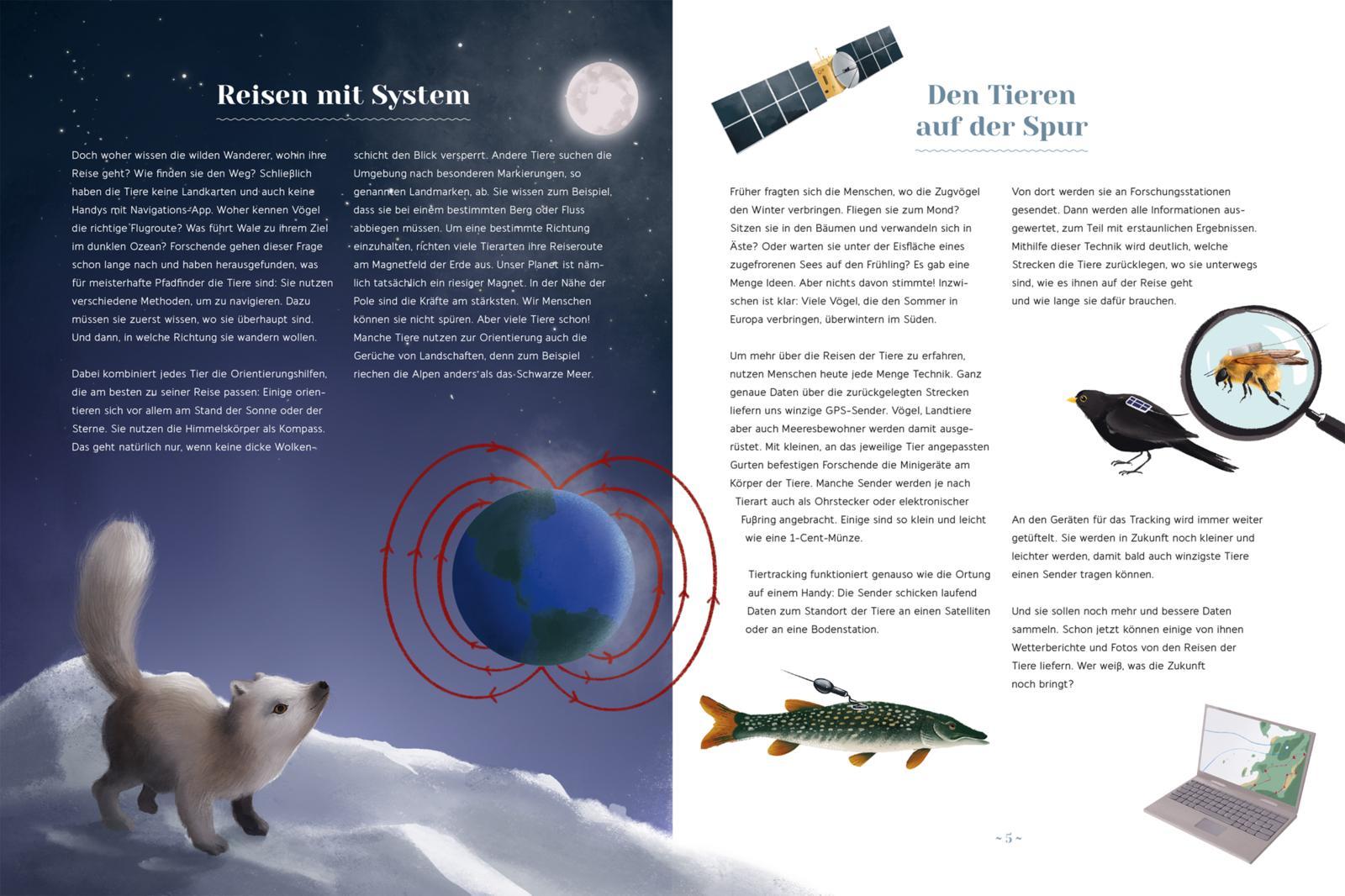 Beispielinhalt (Bild) Wilde Wanderer