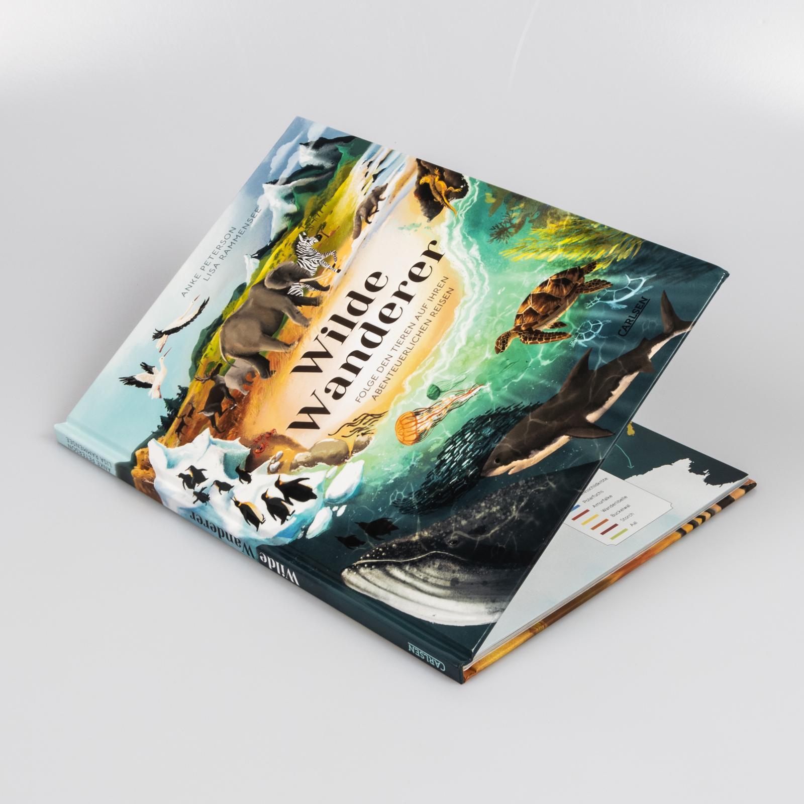 Beispielinhalt (Bild) Wilde Wanderer