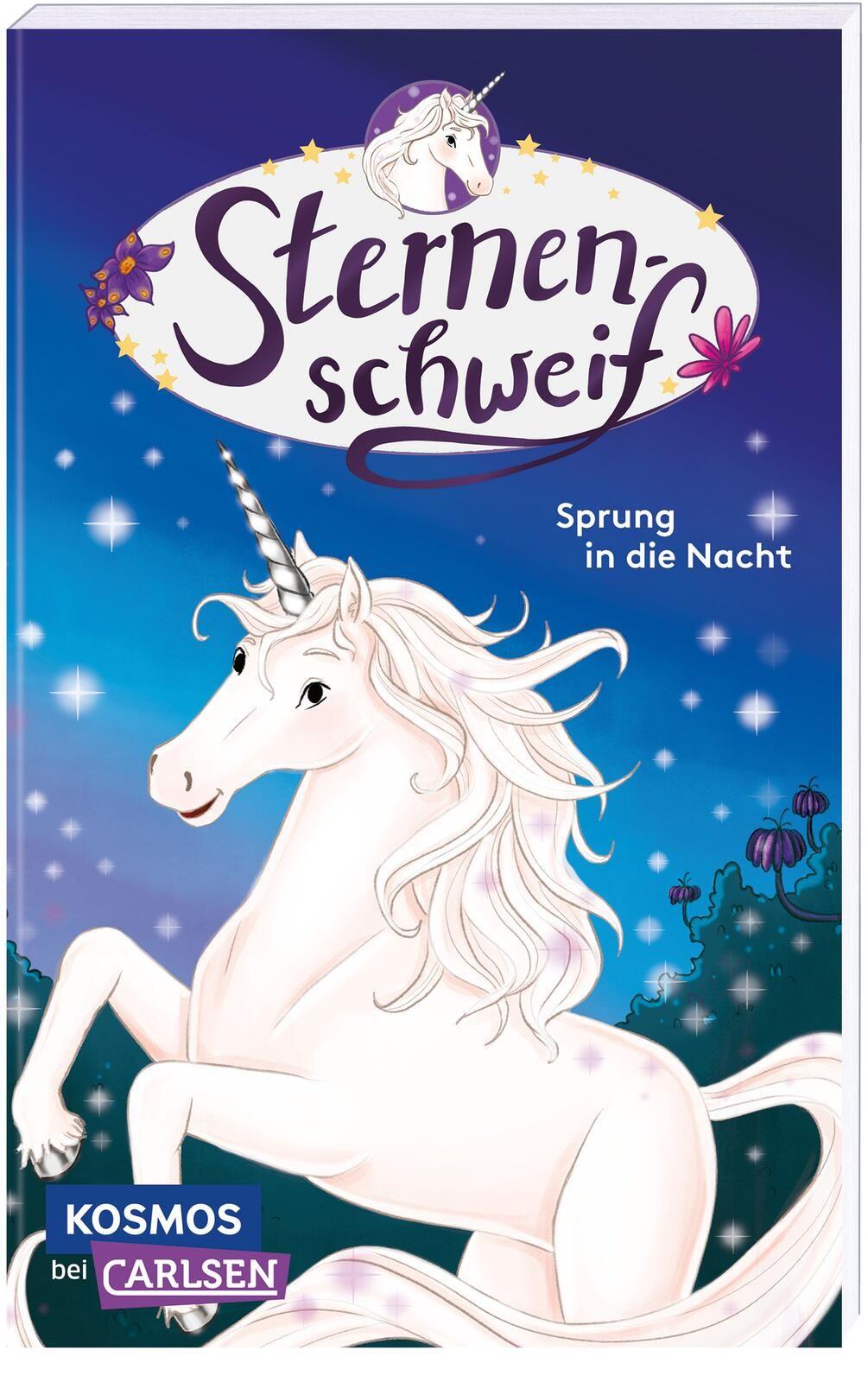 Vorderes Coverbild Sternenschweif 2: Sprung in die Nacht