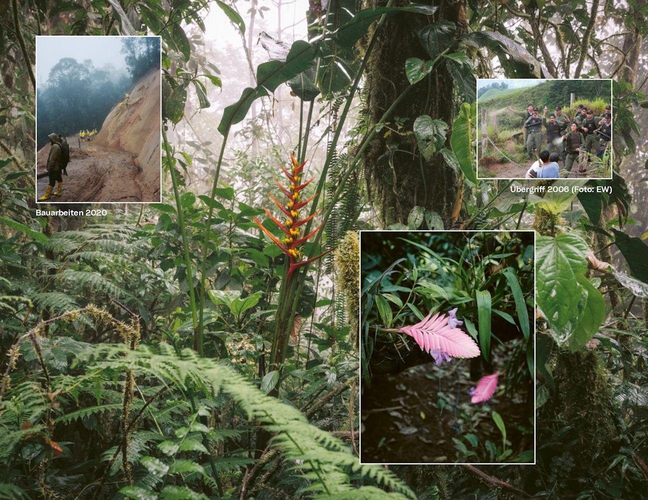 Beispielinhalt (Bild) Die Natur hat Recht