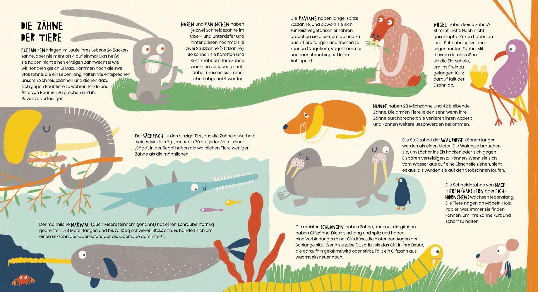 Beispielinhalt (Bild) Vom Tyrannosaurus zum Huhn