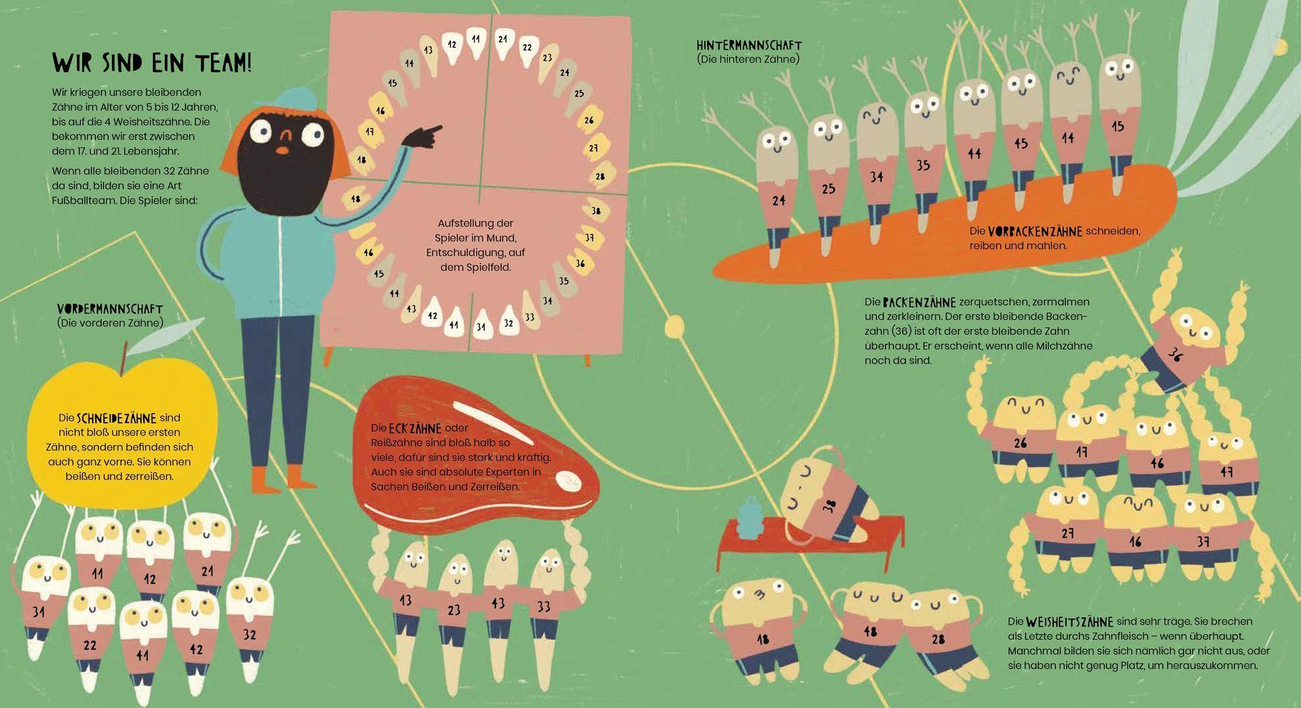 Beispielinhalt (Bild) Vom Tyrannosaurus zum Huhn