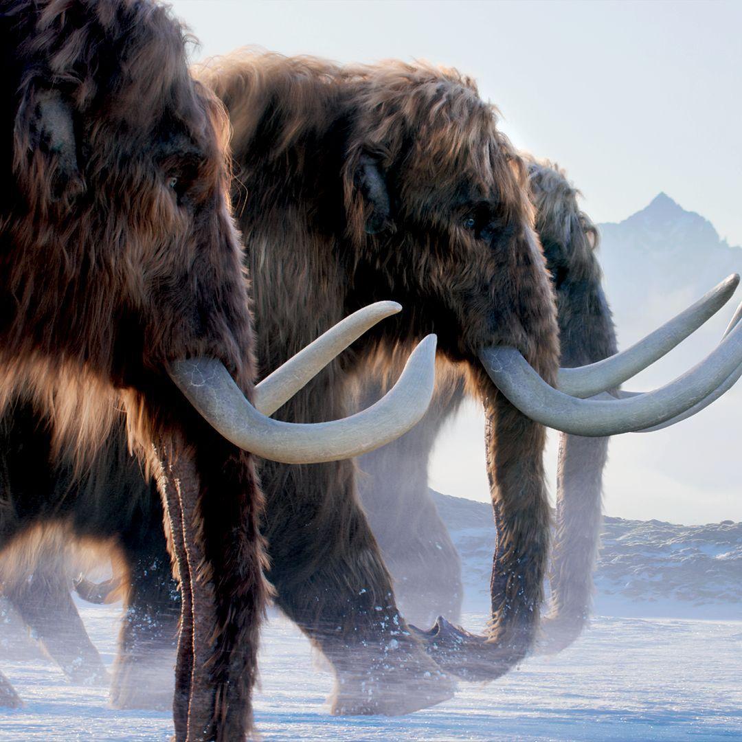 Beispielinhalt (Bild) Leben auf unserem Planeten