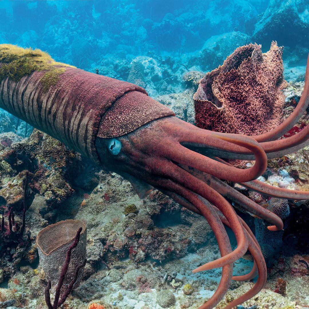 Beispielinhalt (Bild) Leben auf unserem Planeten