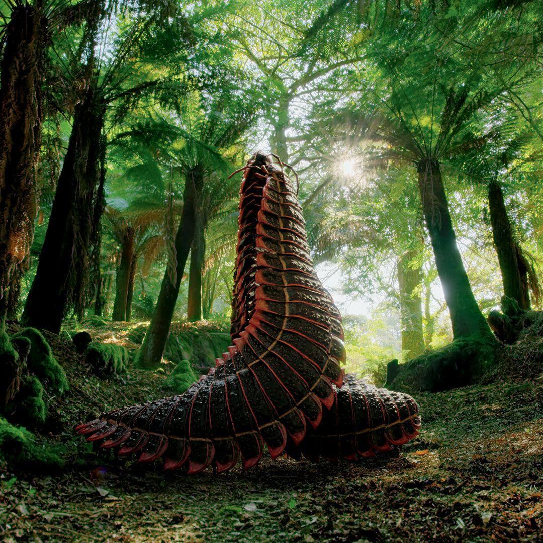 Beispielinhalt (Bild) Leben auf unserem Planeten