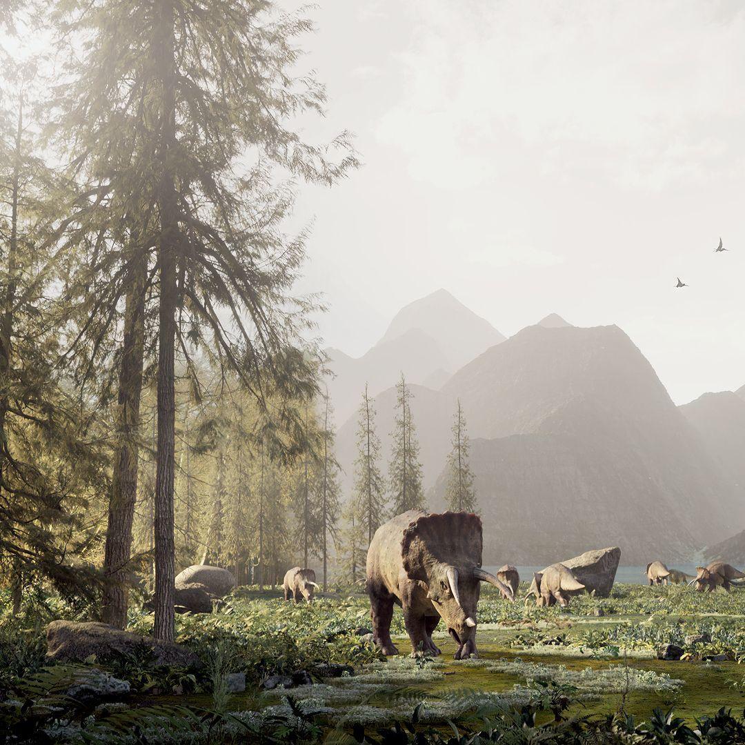 Beispielinhalt (Bild) Leben auf unserem Planeten