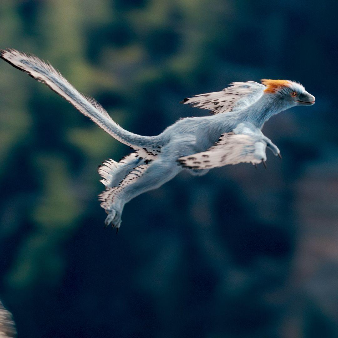 Beispielinhalt (Bild) Leben auf unserem Planeten