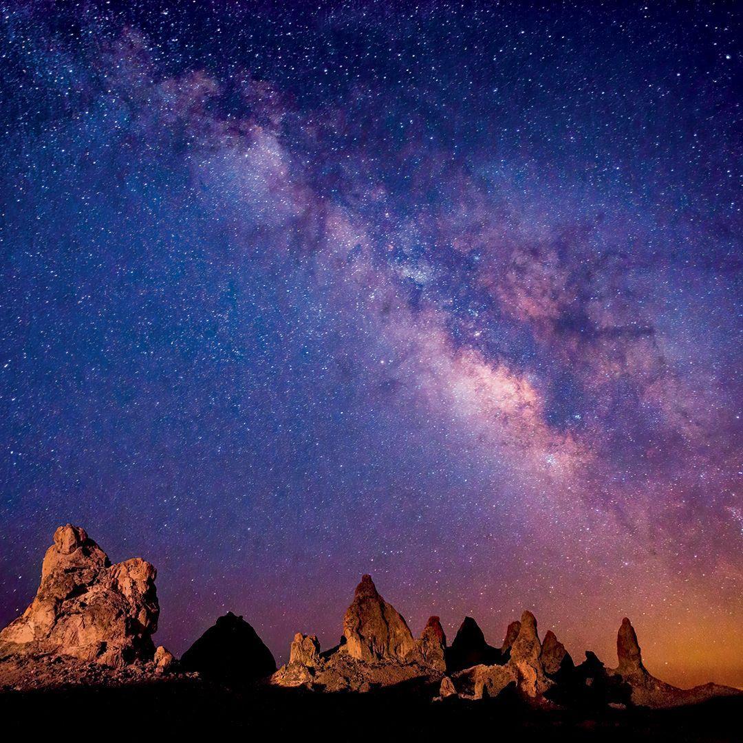 Beispielinhalt (Bild) Leben auf unserem Planeten