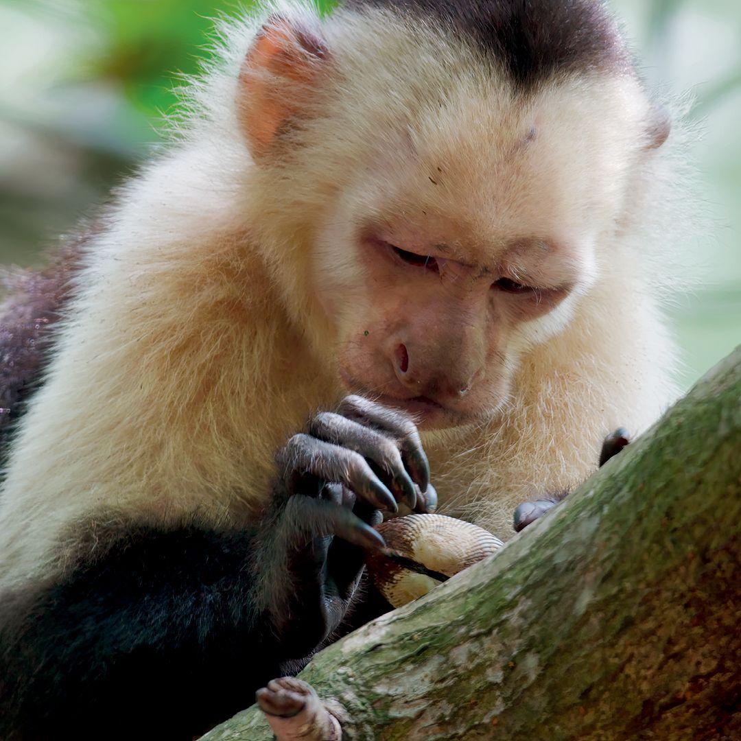 Beispielinhalt (Bild) Leben auf unserem Planeten