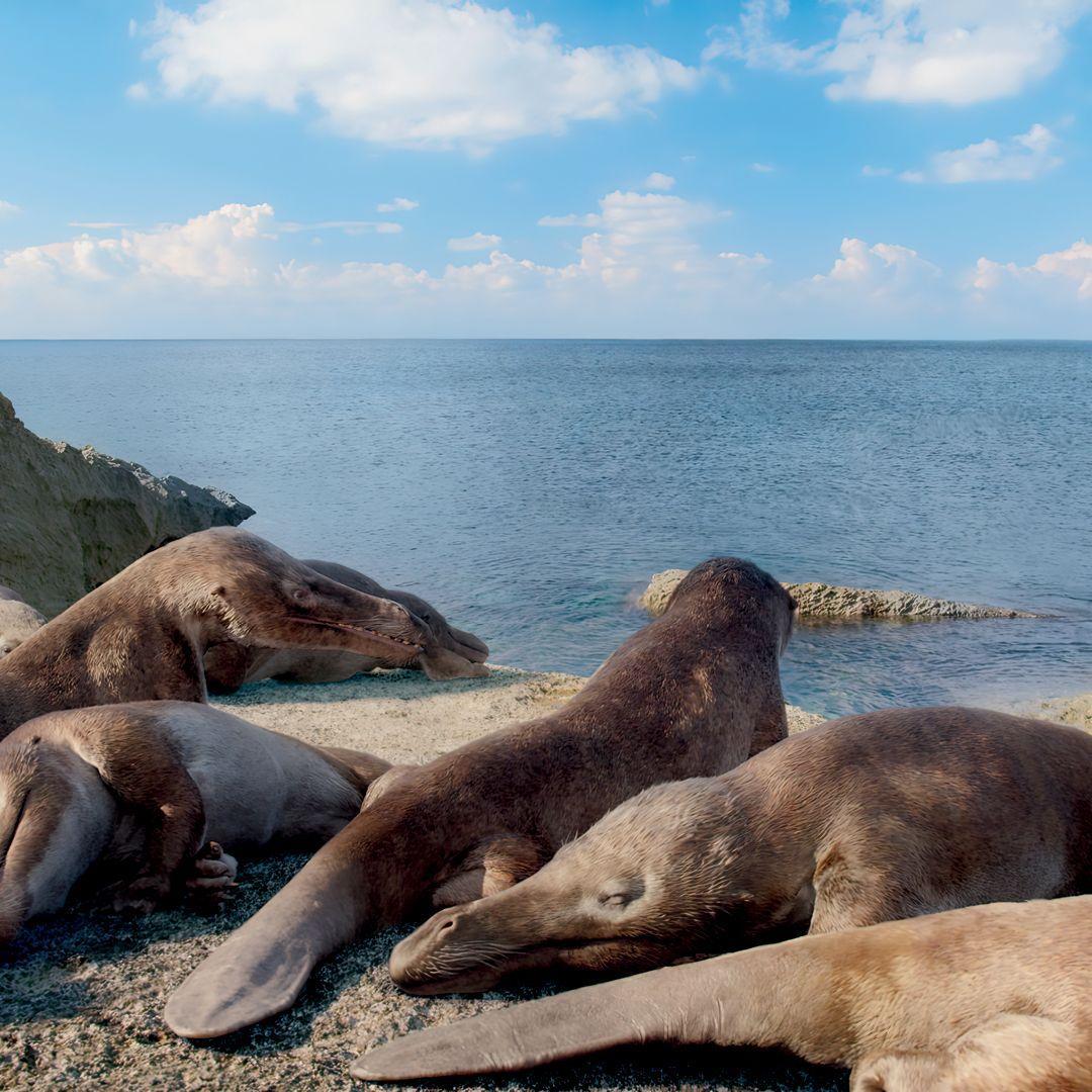 Beispielinhalt (Bild) Leben auf unserem Planeten