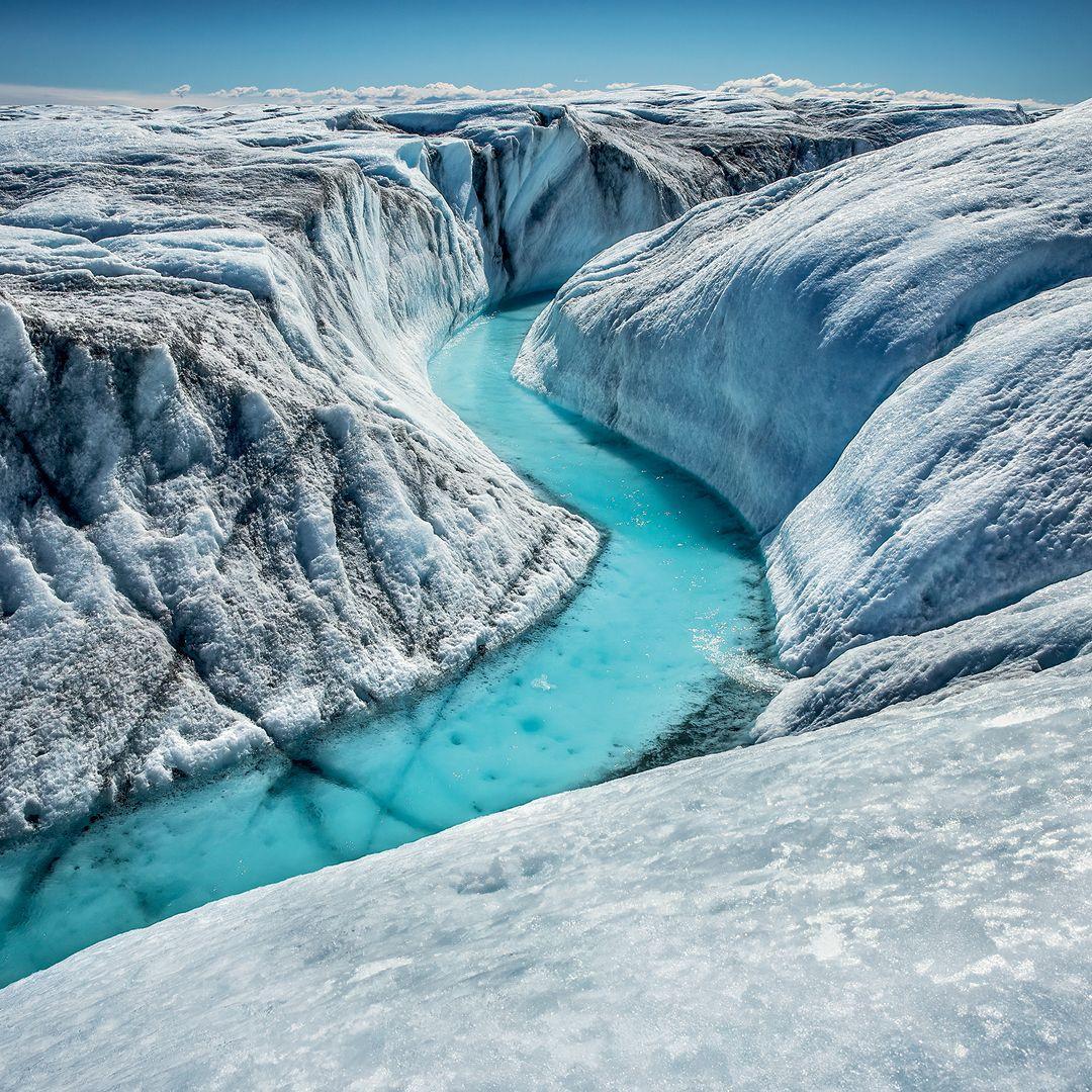 Beispielinhalt (Bild) Leben auf unserem Planeten