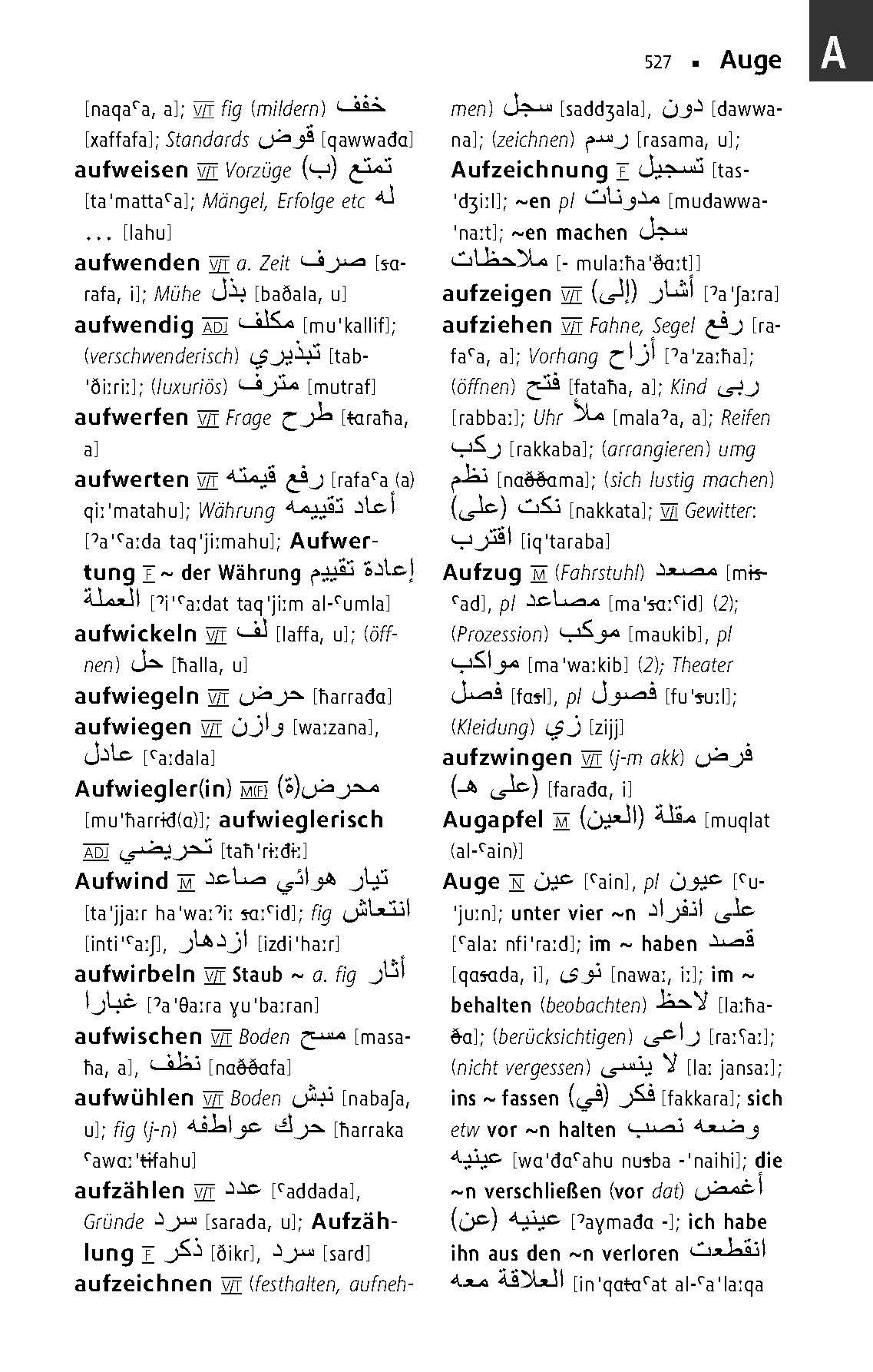 Beispielinhalt (Bild) Langenscheidt Taschenwörterbuch Arabisch