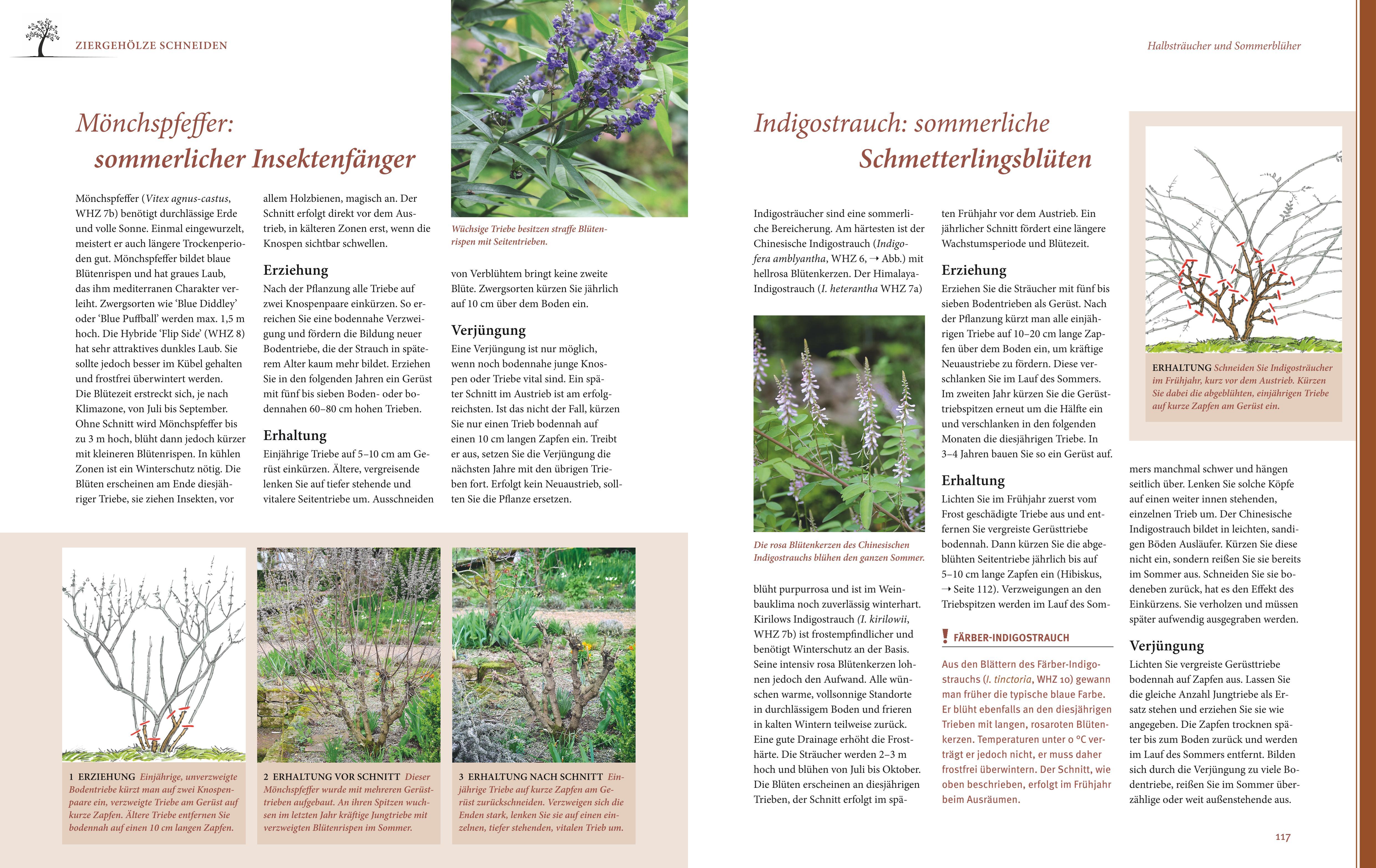 Beispielinhalt (Bild) Das große GU Praxishandbuch Pflanzenschnitt