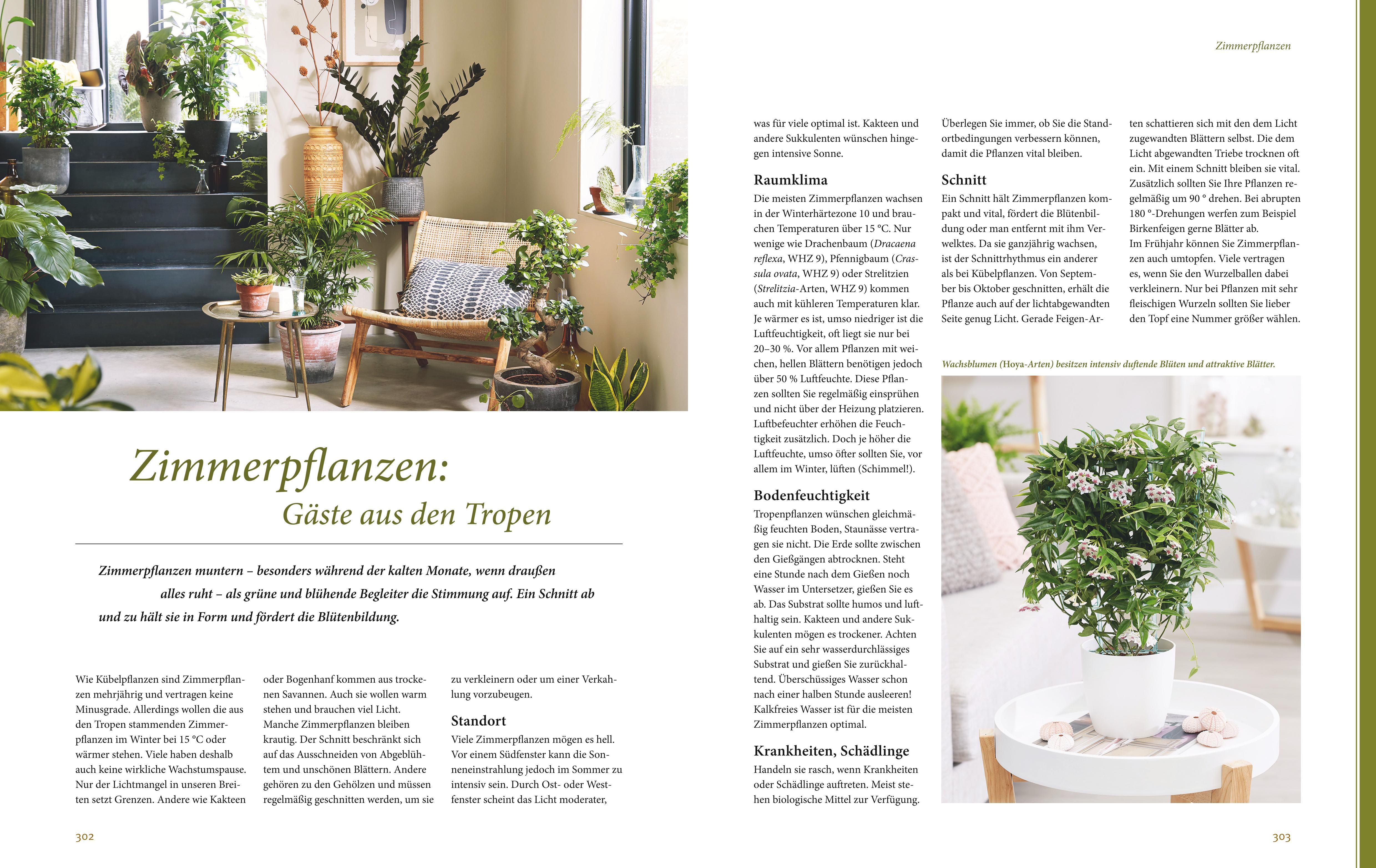 Beispielinhalt (Bild) Das große GU Praxishandbuch Pflanzenschnitt