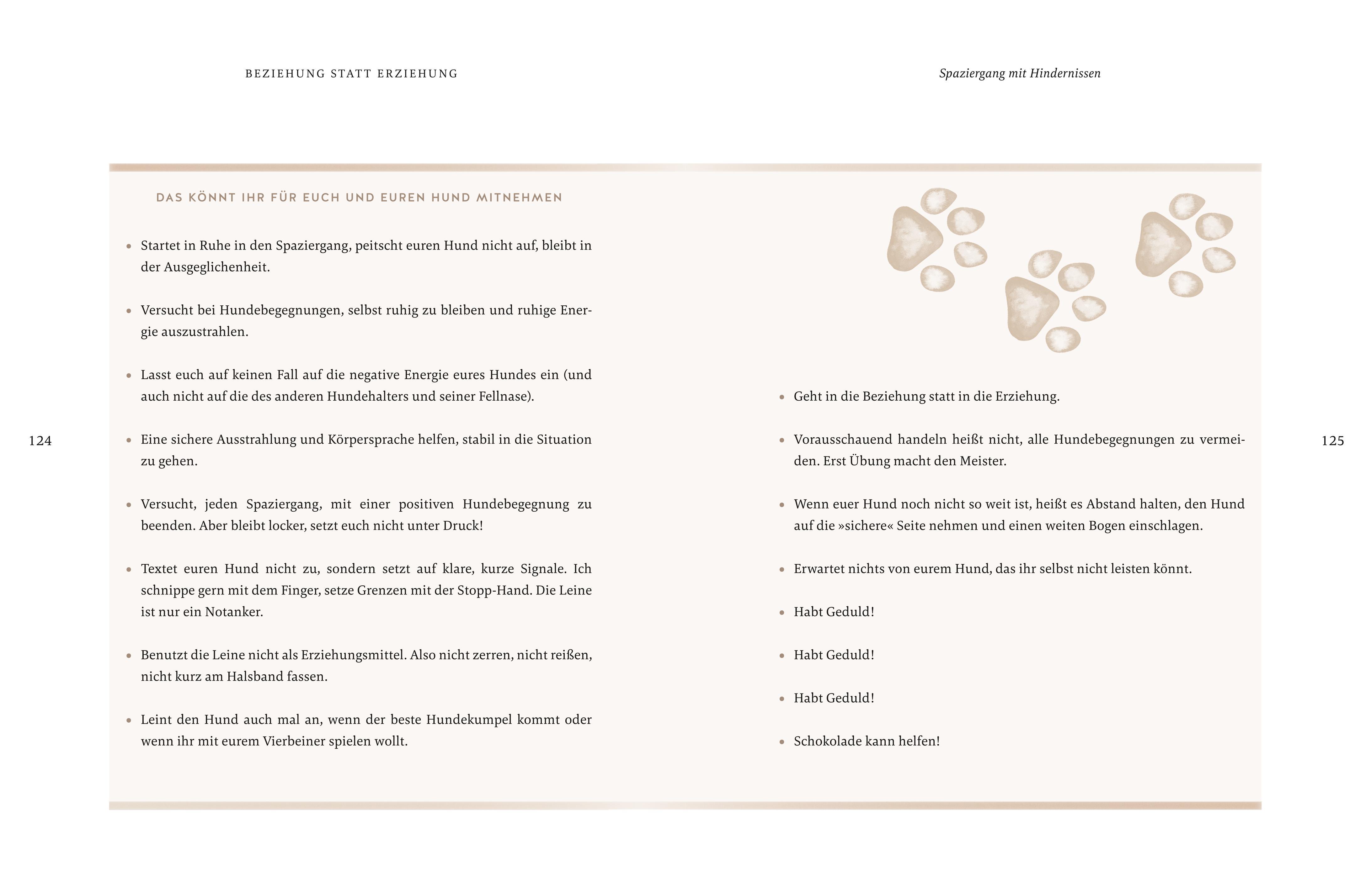 Beispielinhalt (Bild) Seelenpartner Hund