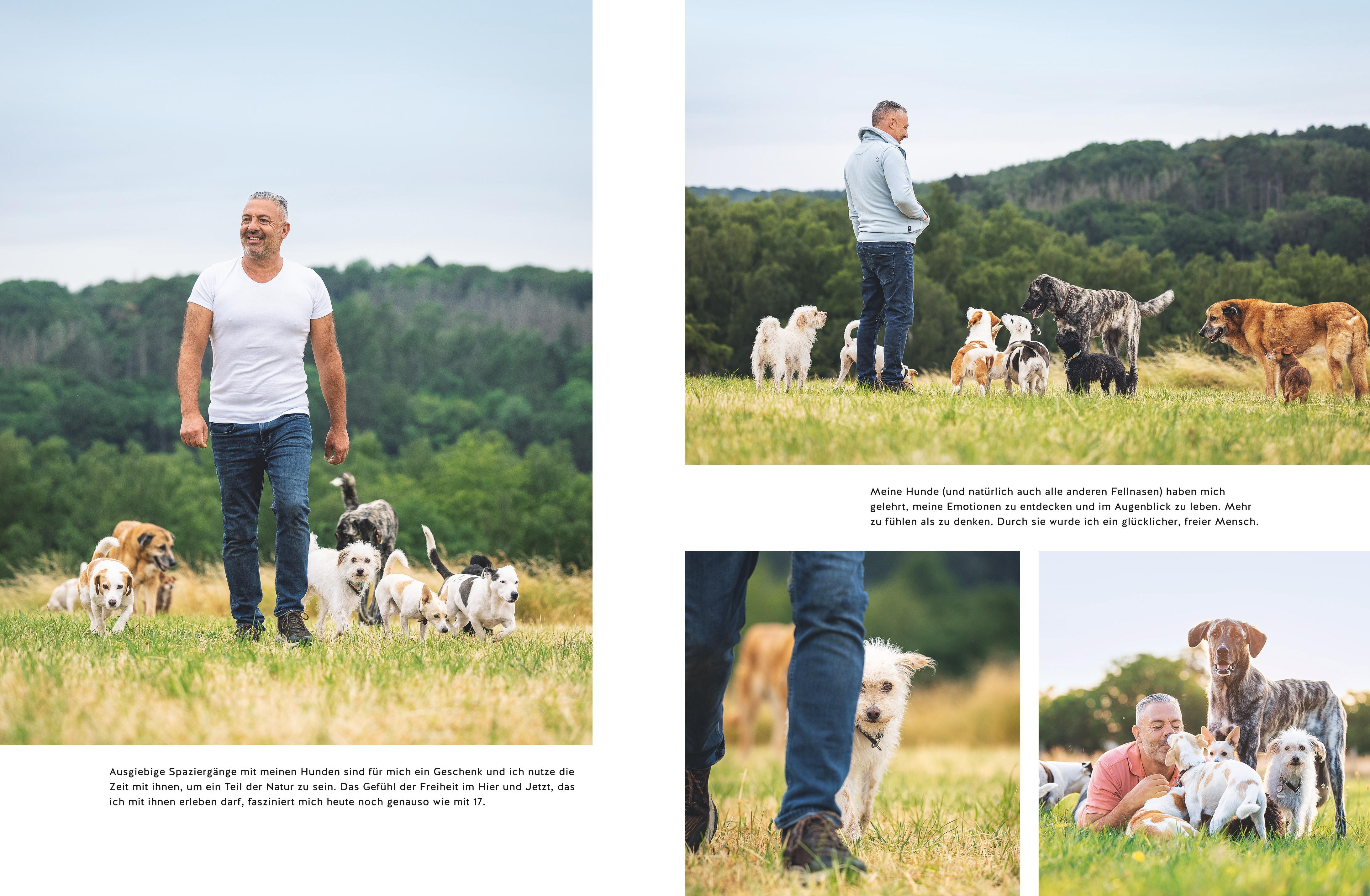 Beispielinhalt (Bild) Seelenpartner Hund