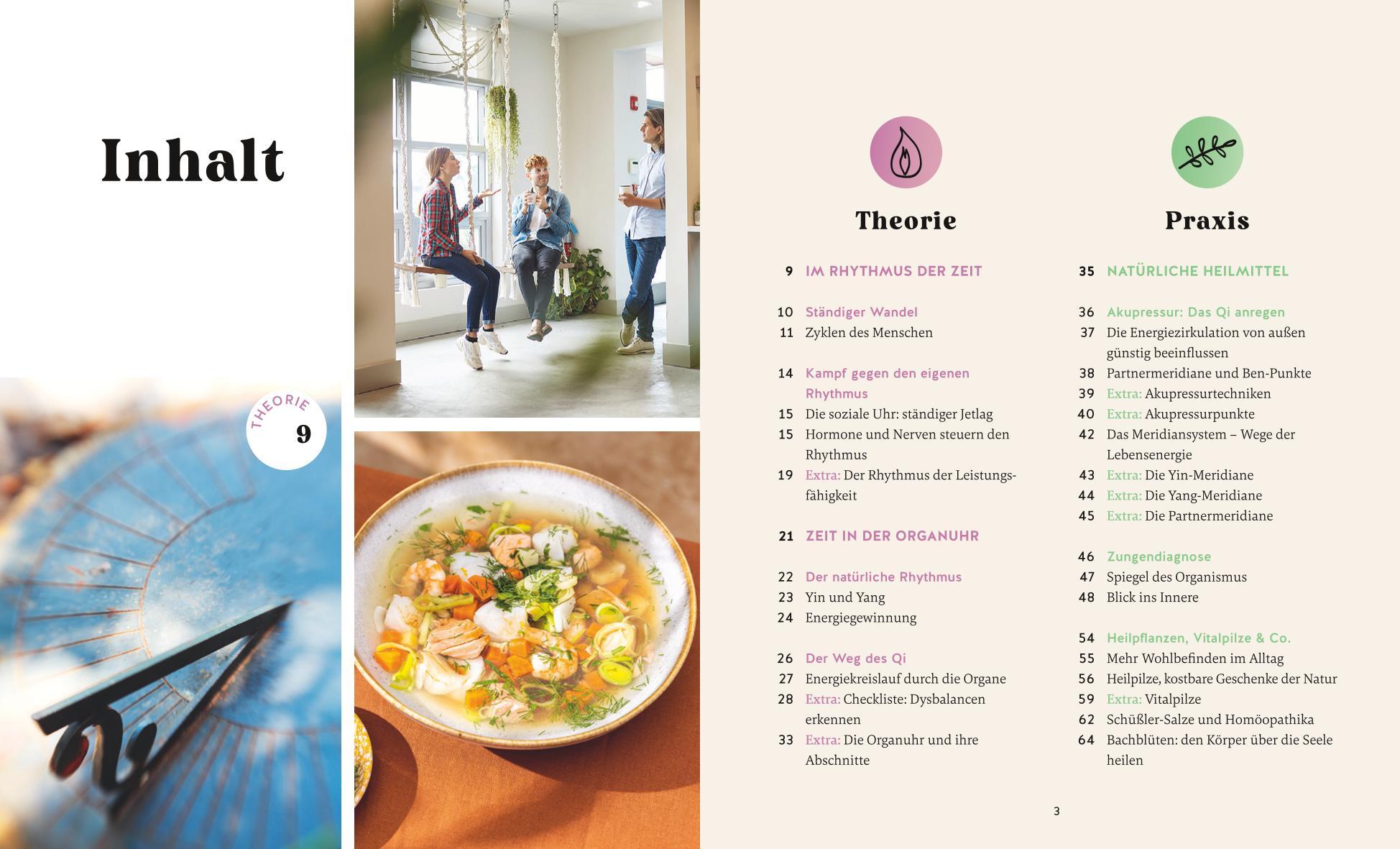 Beispielinhalt (Bild) Die Organuhr