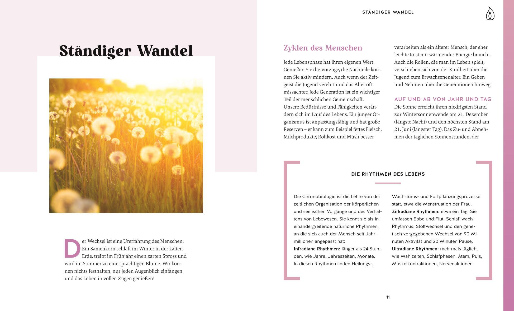 Beispielinhalt (Bild) Die Organuhr