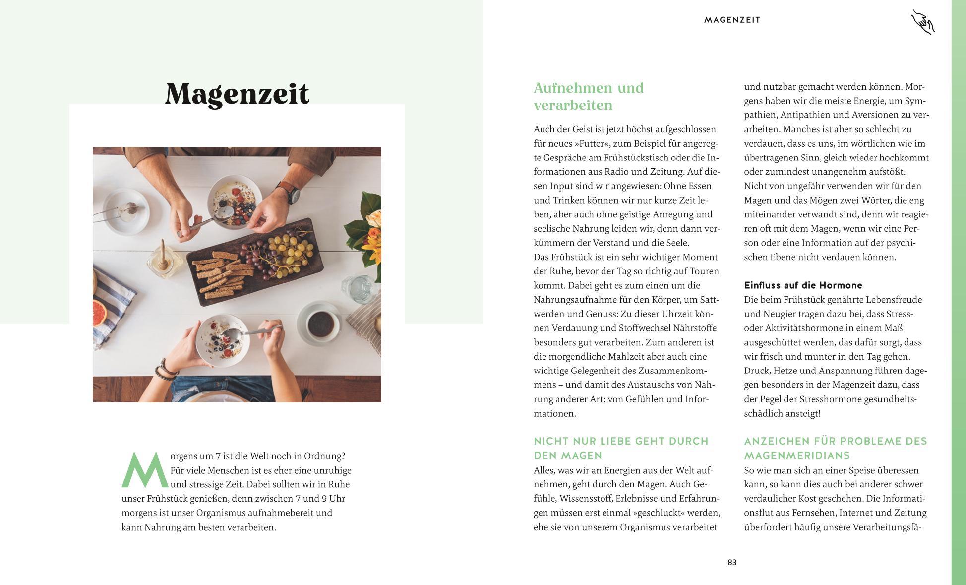 Beispielinhalt (Bild) Die Organuhr