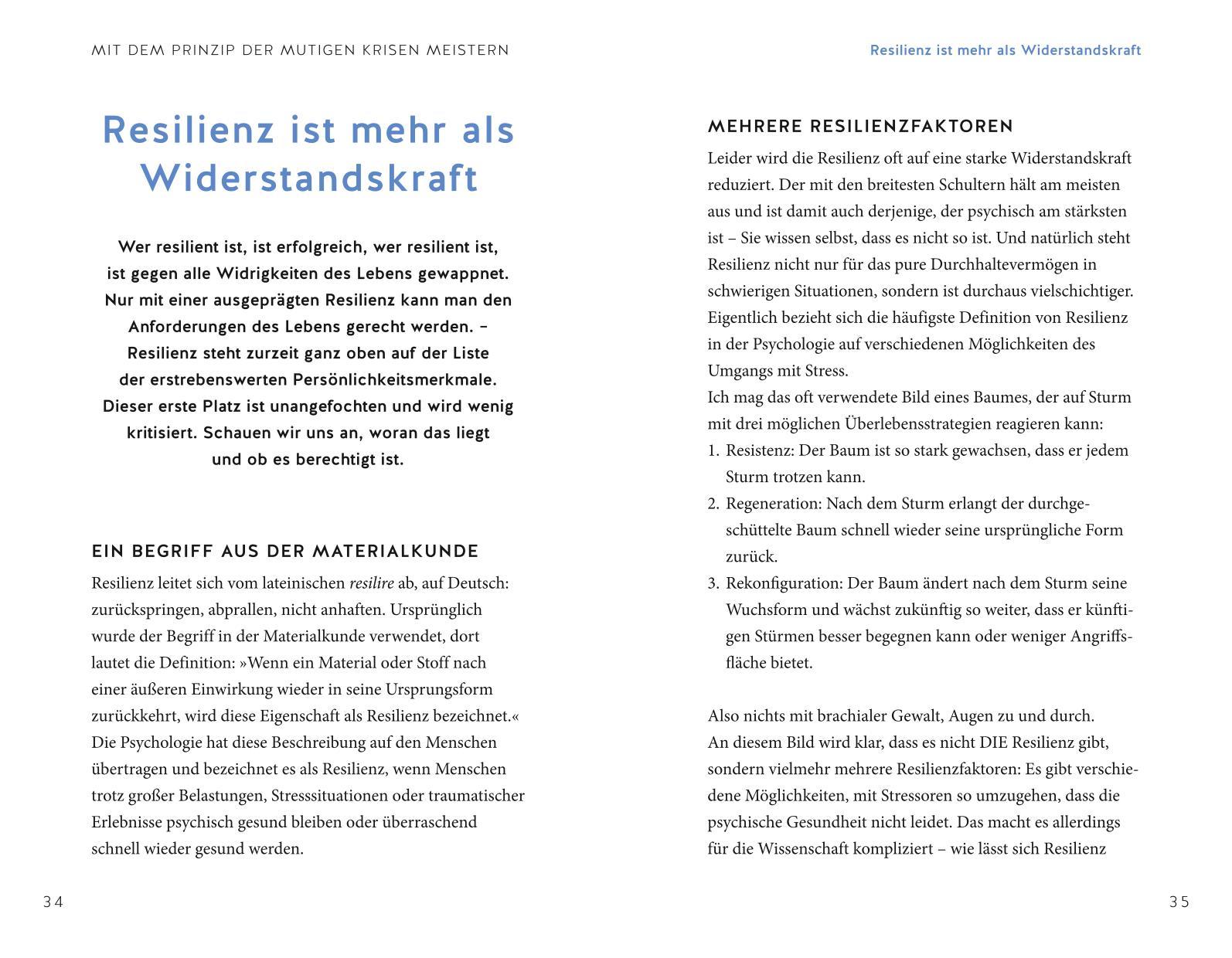 Beispielinhalt (Bild) Das Prinzip der Mutigen