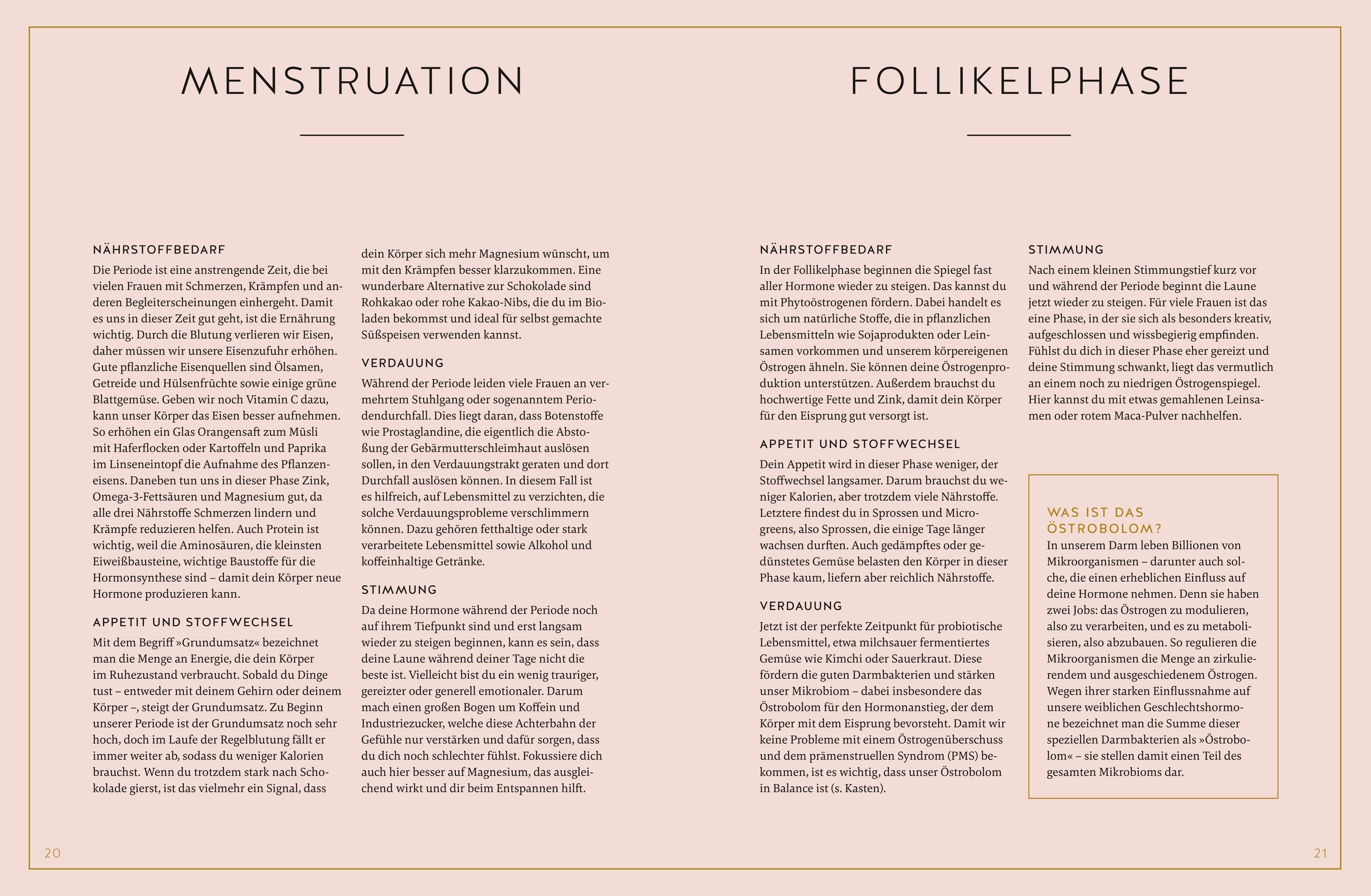 Beispielinhalt (Bild) Zyklus im Glück - Das Kochbuch